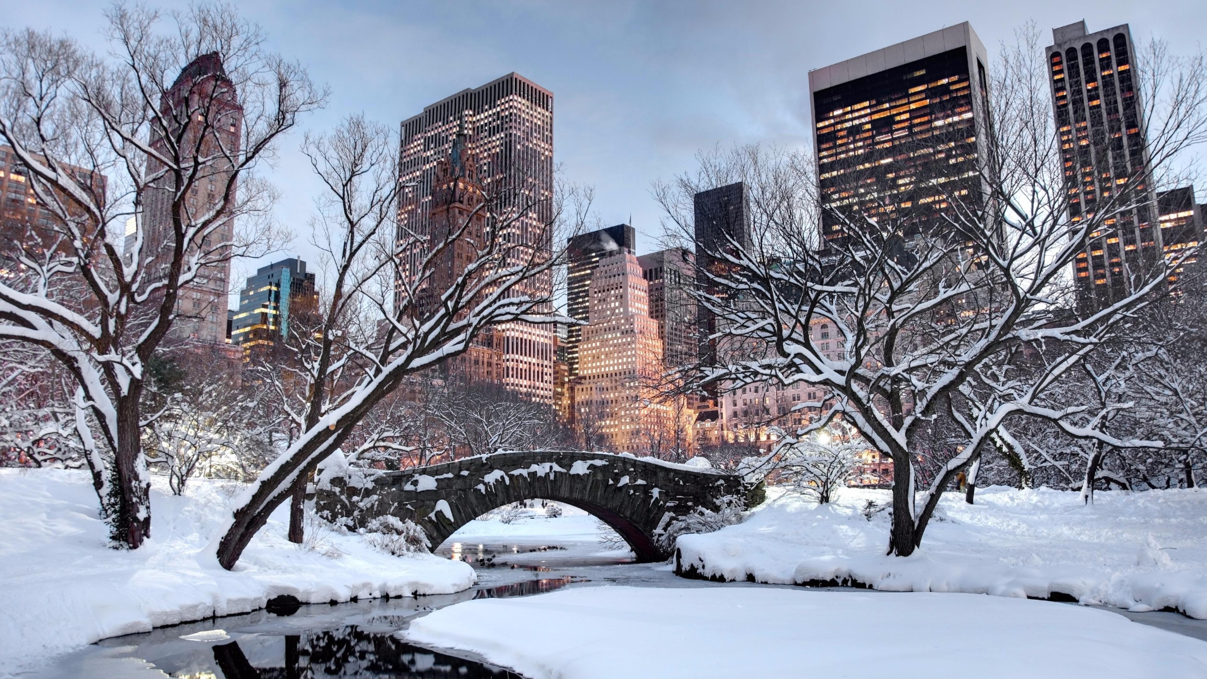 Snow, winter, united states, new york city, tree, sky, building wallpaper. New york snow, Visiting nyc, Winter travel