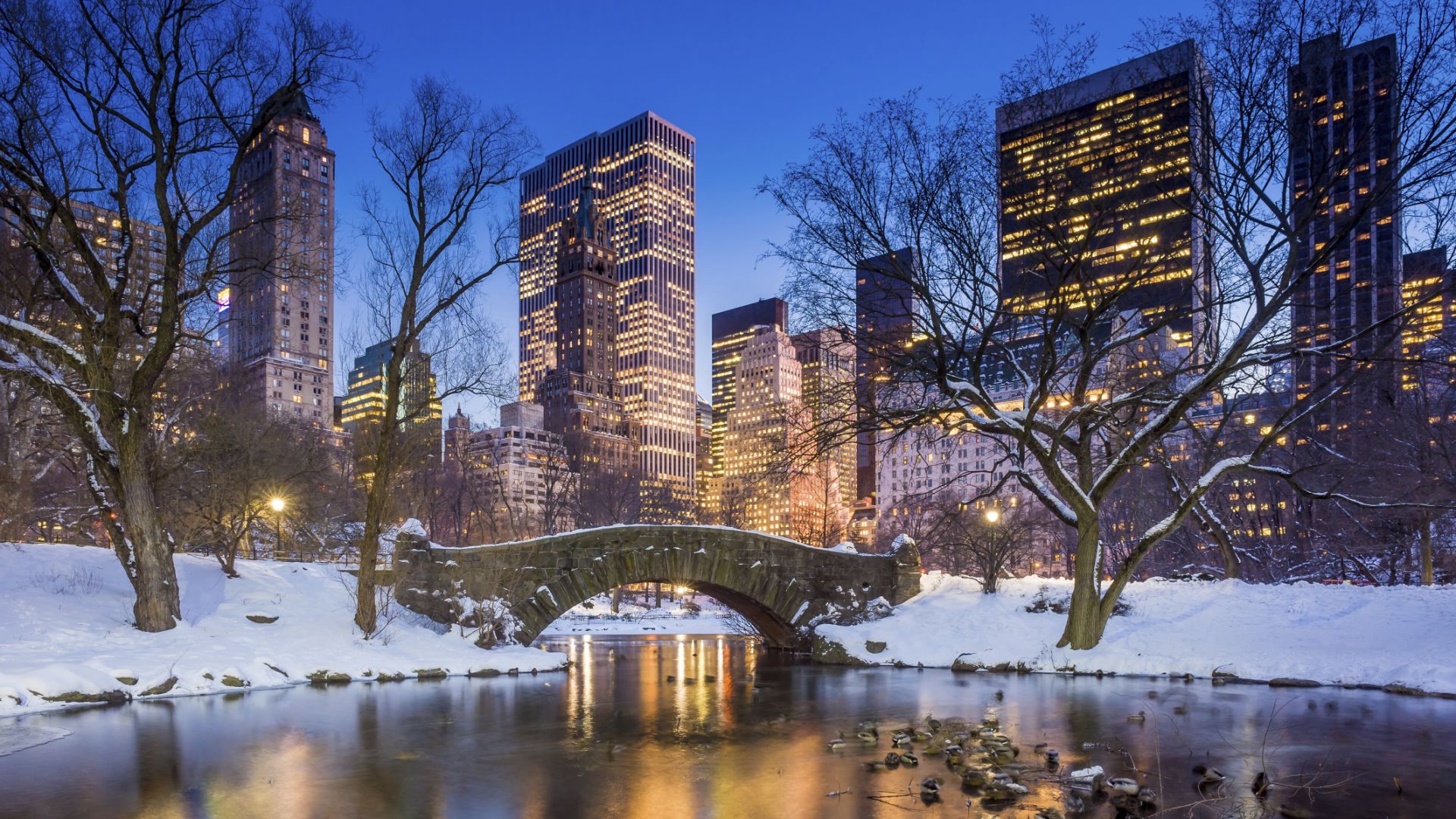 Luxury Hotels in New York. Loews Regency Hotel