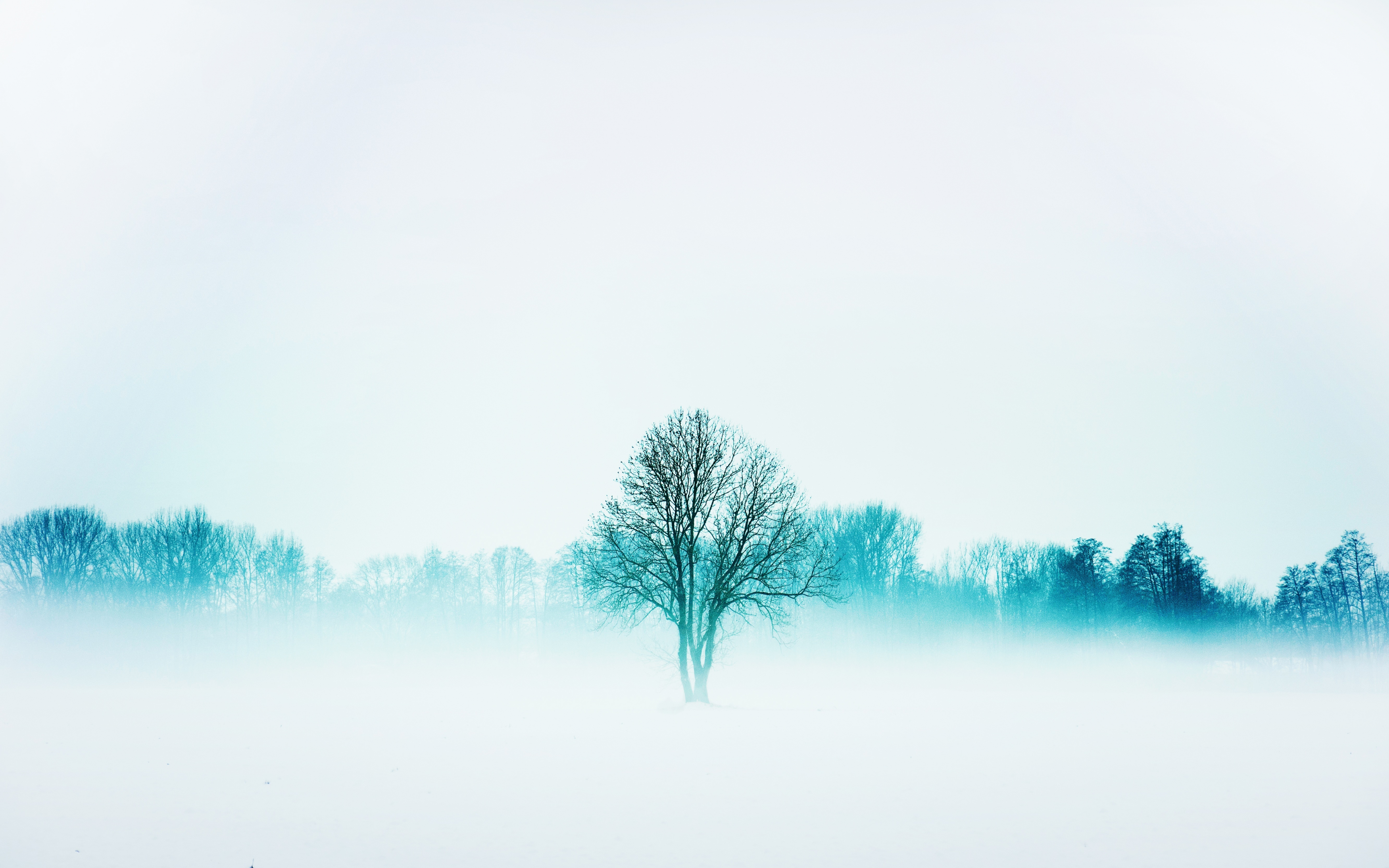 Winter 3840X2400 Wallpapers - Wallpaper Cave