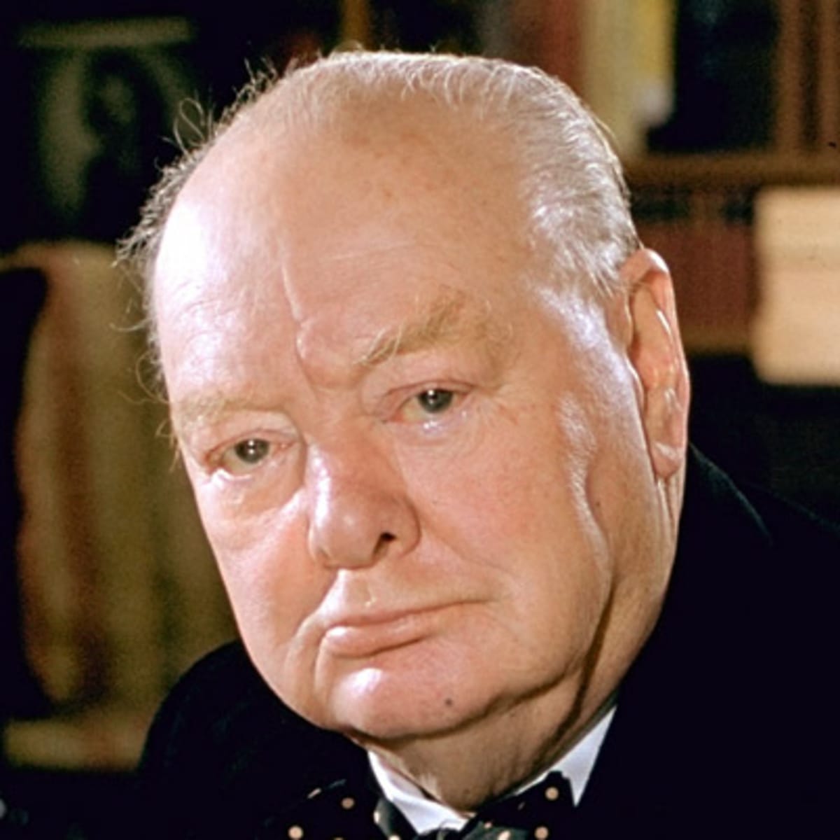 Winston Churchill, Paintings & Death