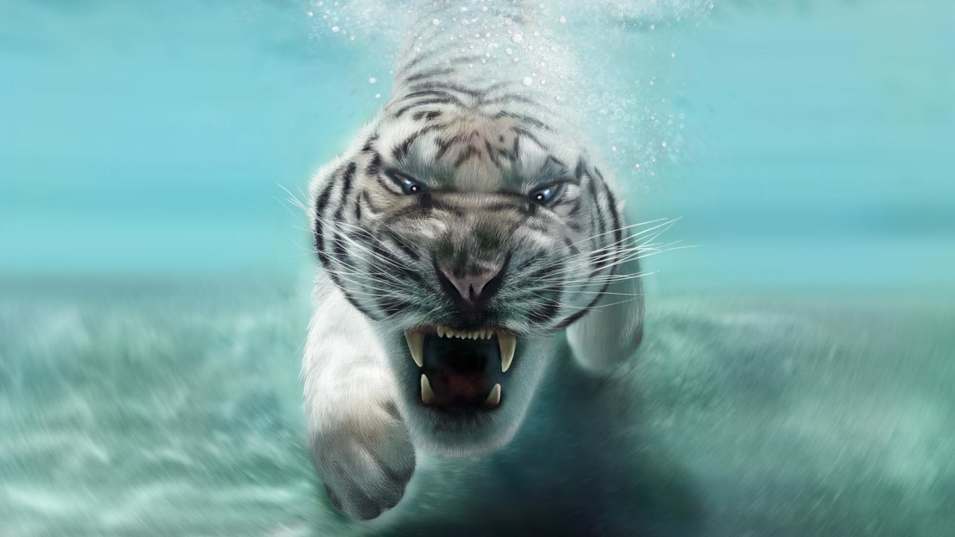 white tiger swimming under water