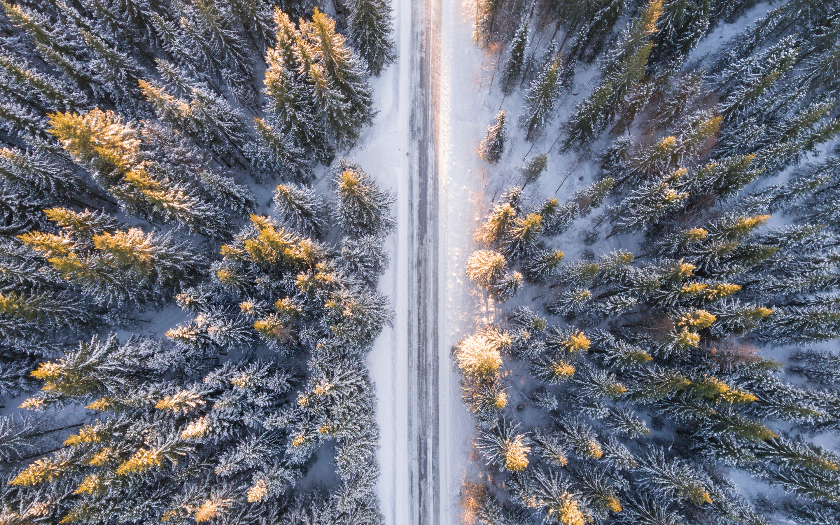Wallpaper Forest, trees, top view, snow, road, winter 2880x1800 HD Picture, Image