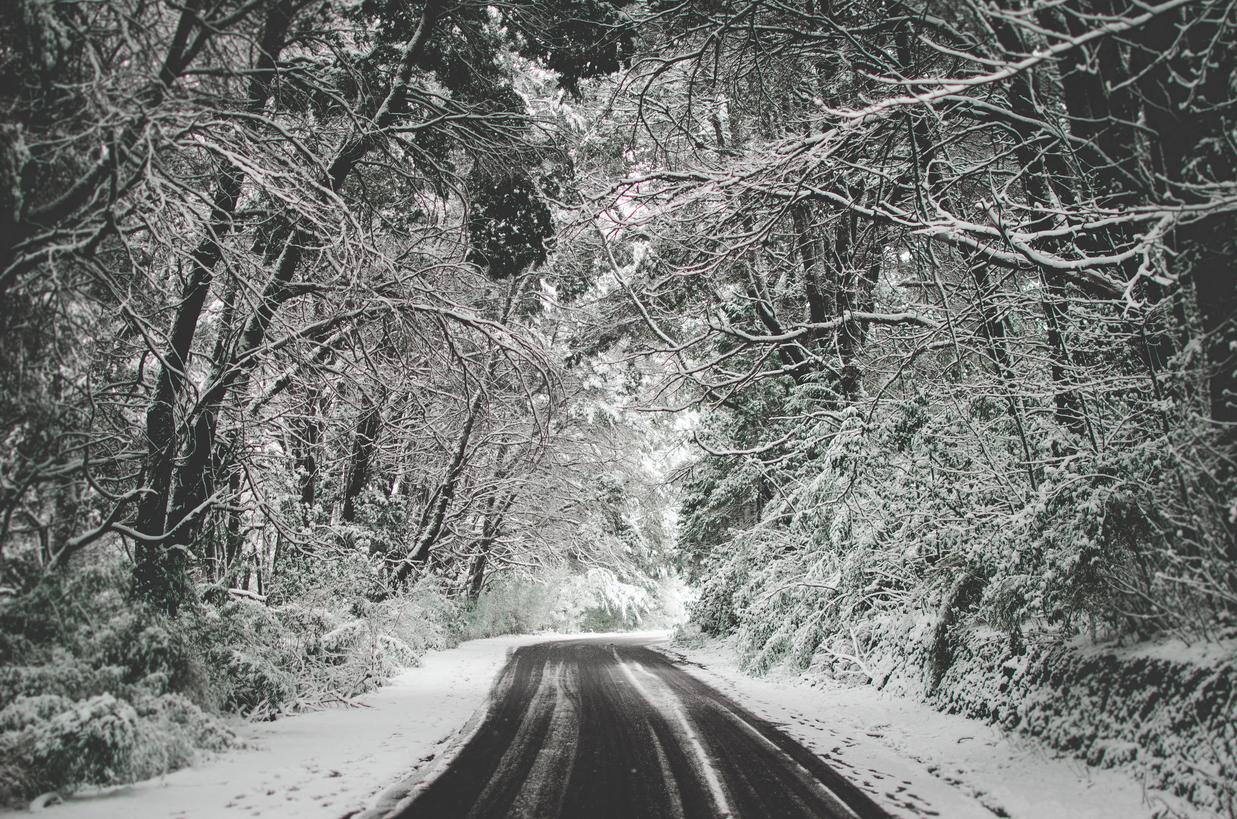 Winter Road Photo, Download Free Winter Road & HD Image