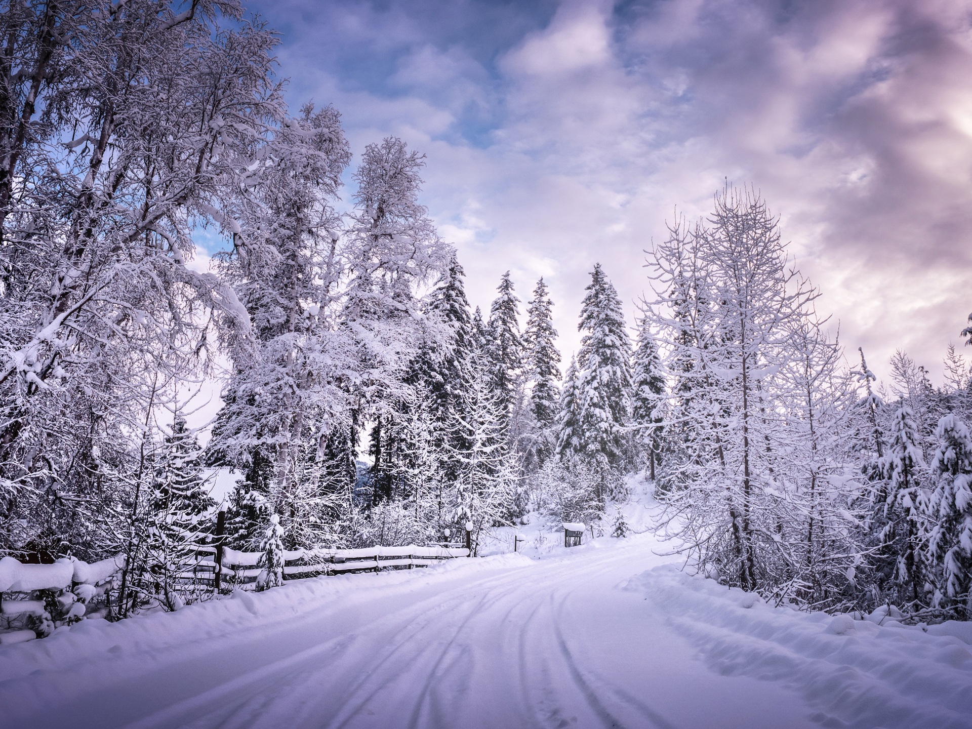 Wallpaper 4k Winter Road Snow Trees White 4k Wallpaper