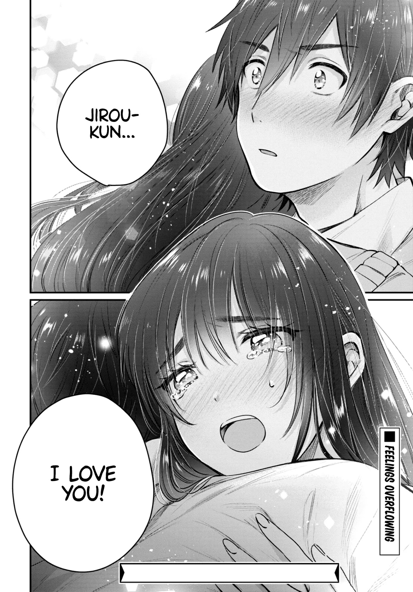 Fuufu Ijou, Koibito Miman. Manga Reviews