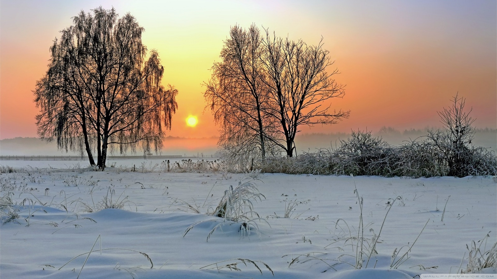 Winter Sunrise Ultra HD Desktop Background Wallpaper for 4K UHD TV, Tablet