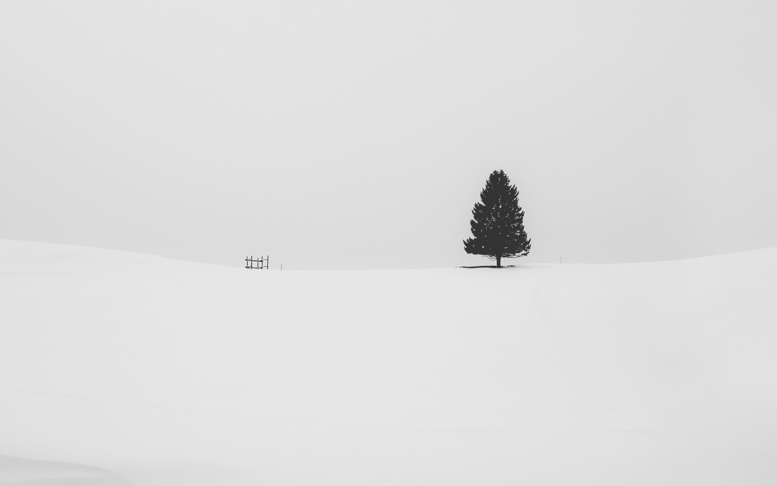Wallpaper 4k Snow Tree Minimal 4k Wallpaper