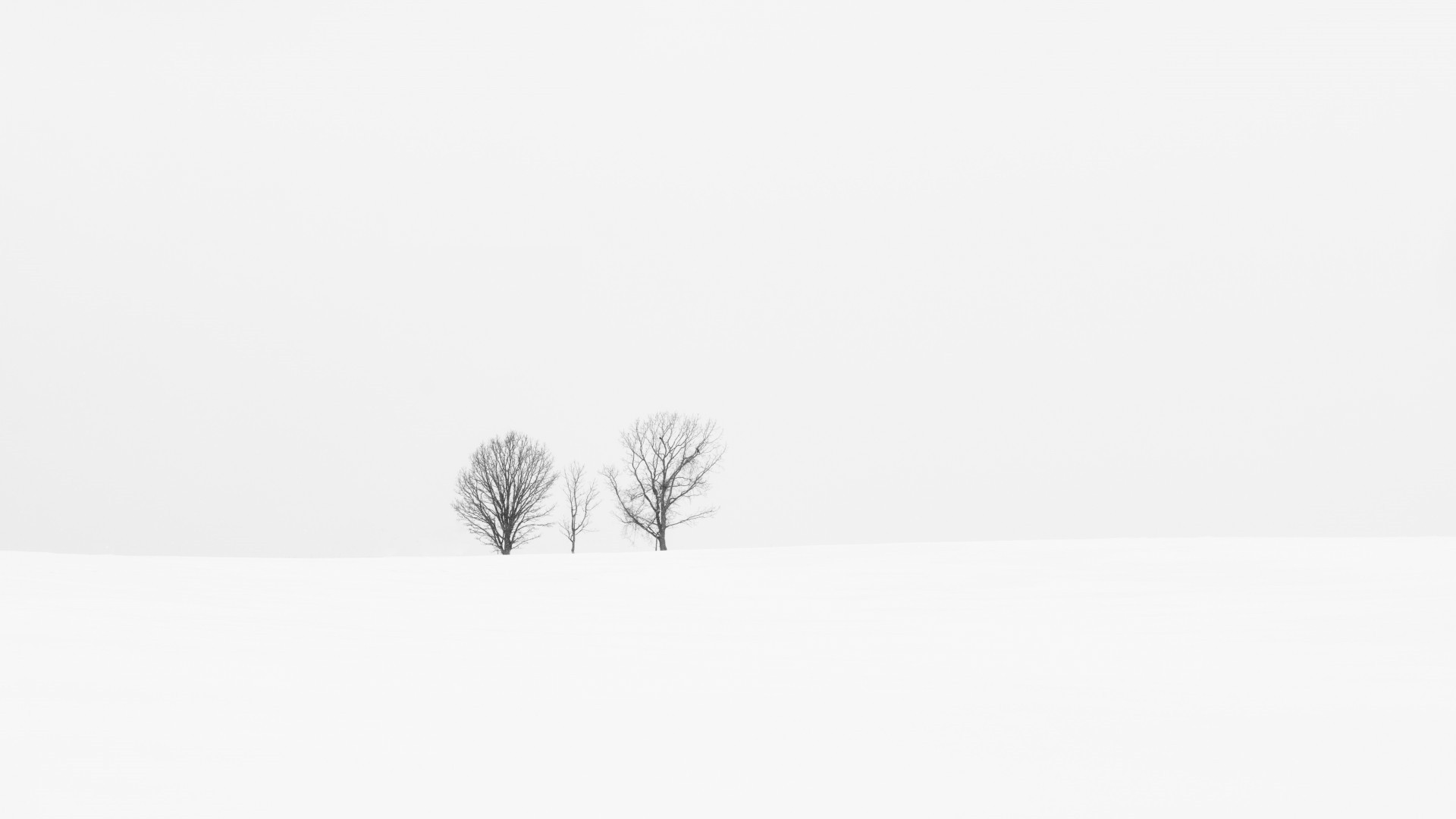 Lonely Trees Wallpaper
