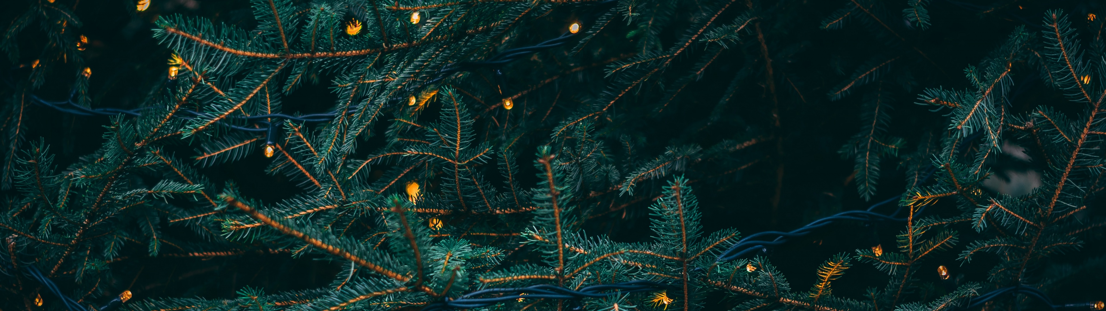 Pine trees Wallpaper 4K, Decoration, LED lights