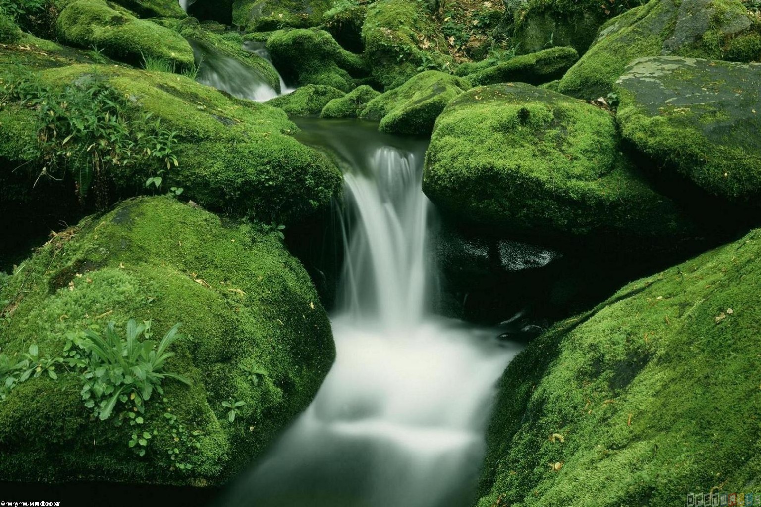 Free download smoky mountains waterfall wallpaper 1536 x 1024 Wallpaper [ 1536x1024] for your Desktop, Mobile & Tablet. Explore Smoky Mountain Wallpaper Desktop. Smoky Mountain Wallpaper Free, Smoky Mountain Winter