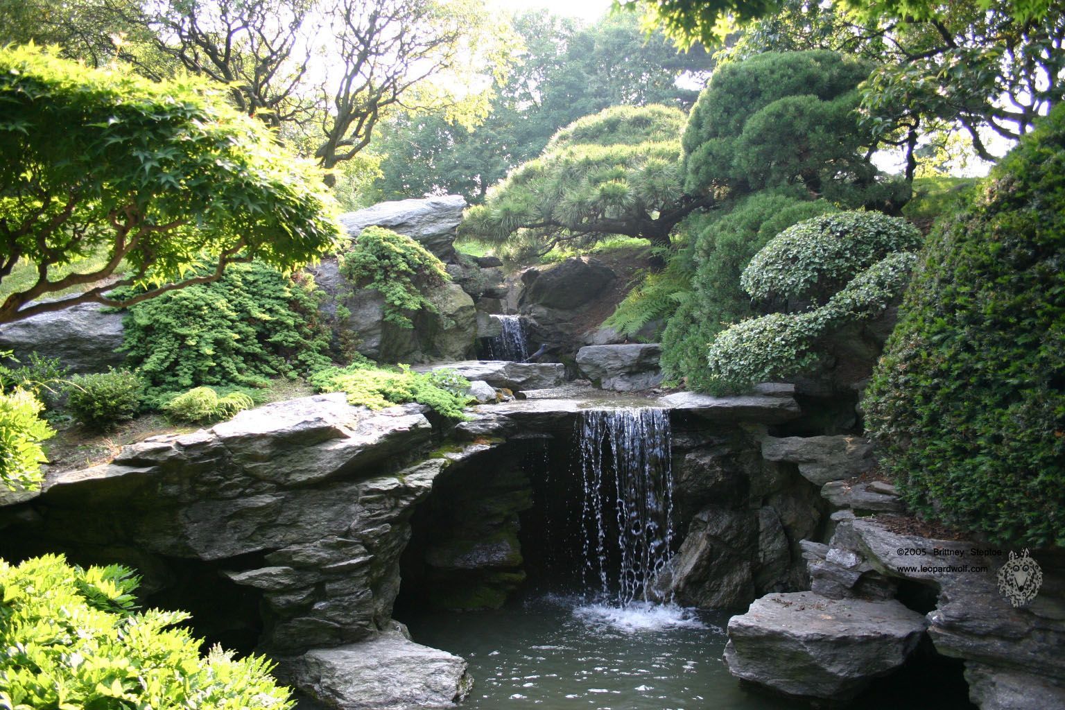 Japanese Water Garden Wallpaper Free Japanese Water Garden Background