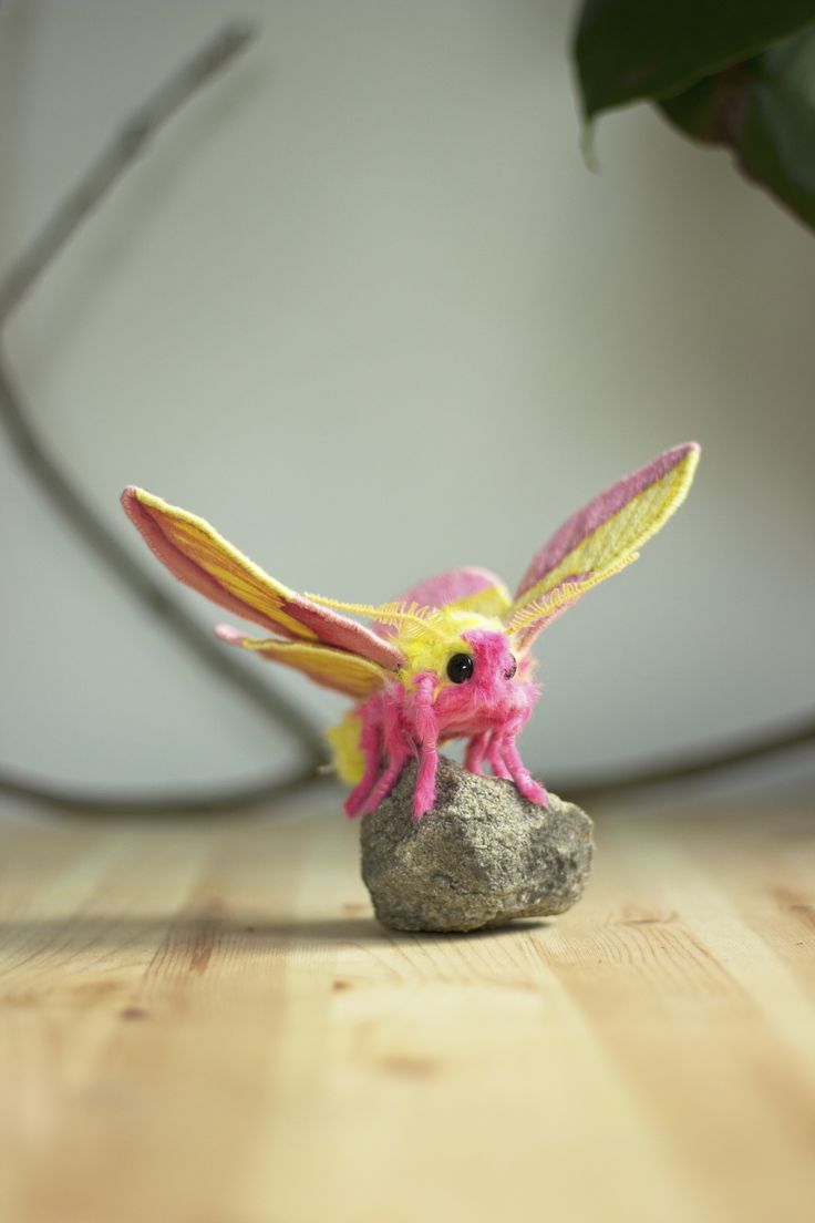 Embroidered Rosy Maple Moth. Rosy maple moth, Cute fantasy creatures, Beautiful bugs