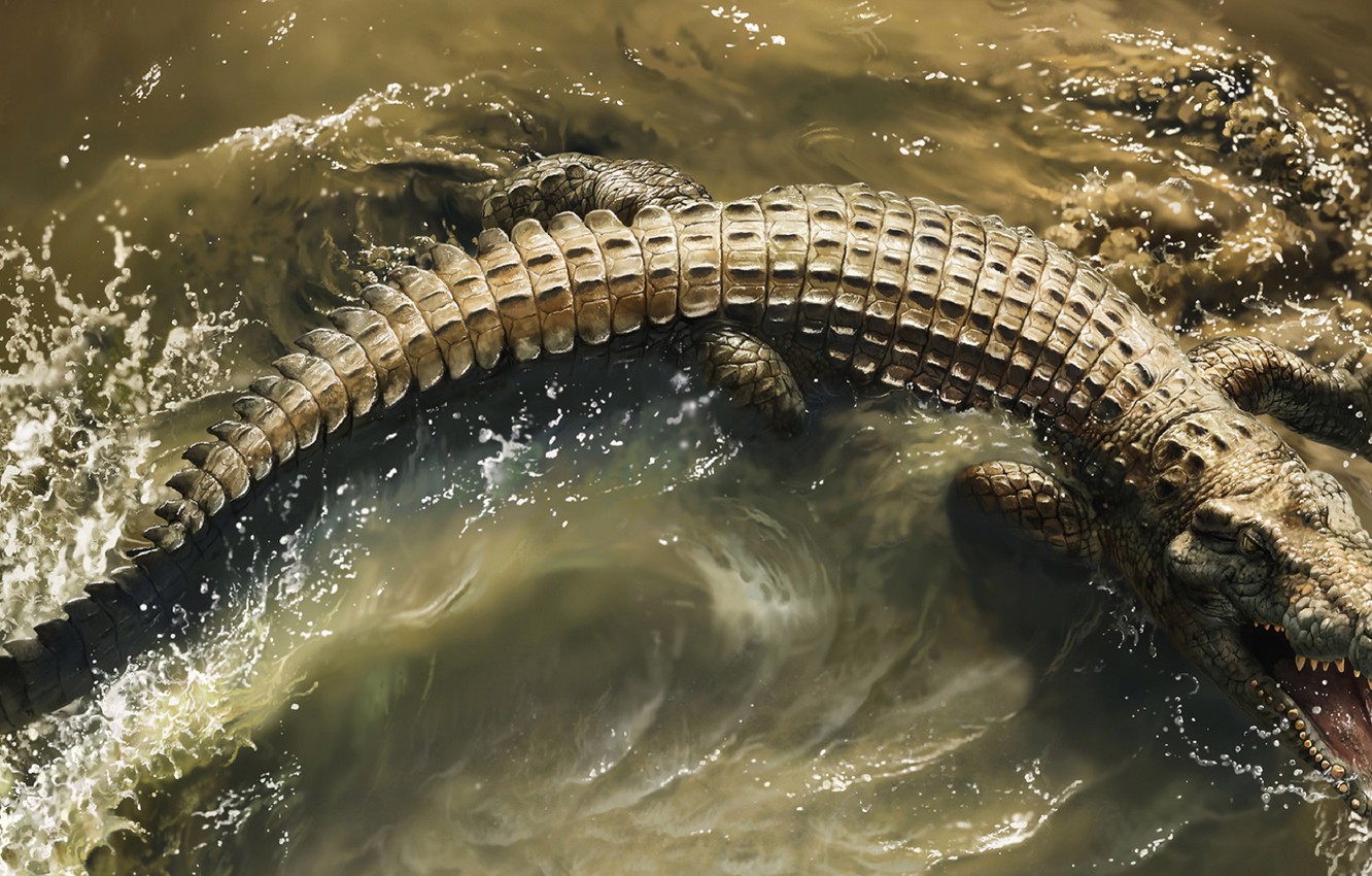 Wallpaper Water, Teeth, Mouth, Crocodile, Crocodile, Africa s deadliest, Predators Of Africa image for desktop, section животные