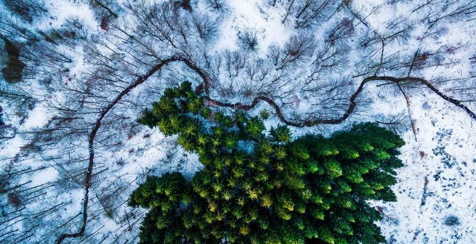 Aerial view, trees, winter wallpaper, HD image, picture, background, fc9557