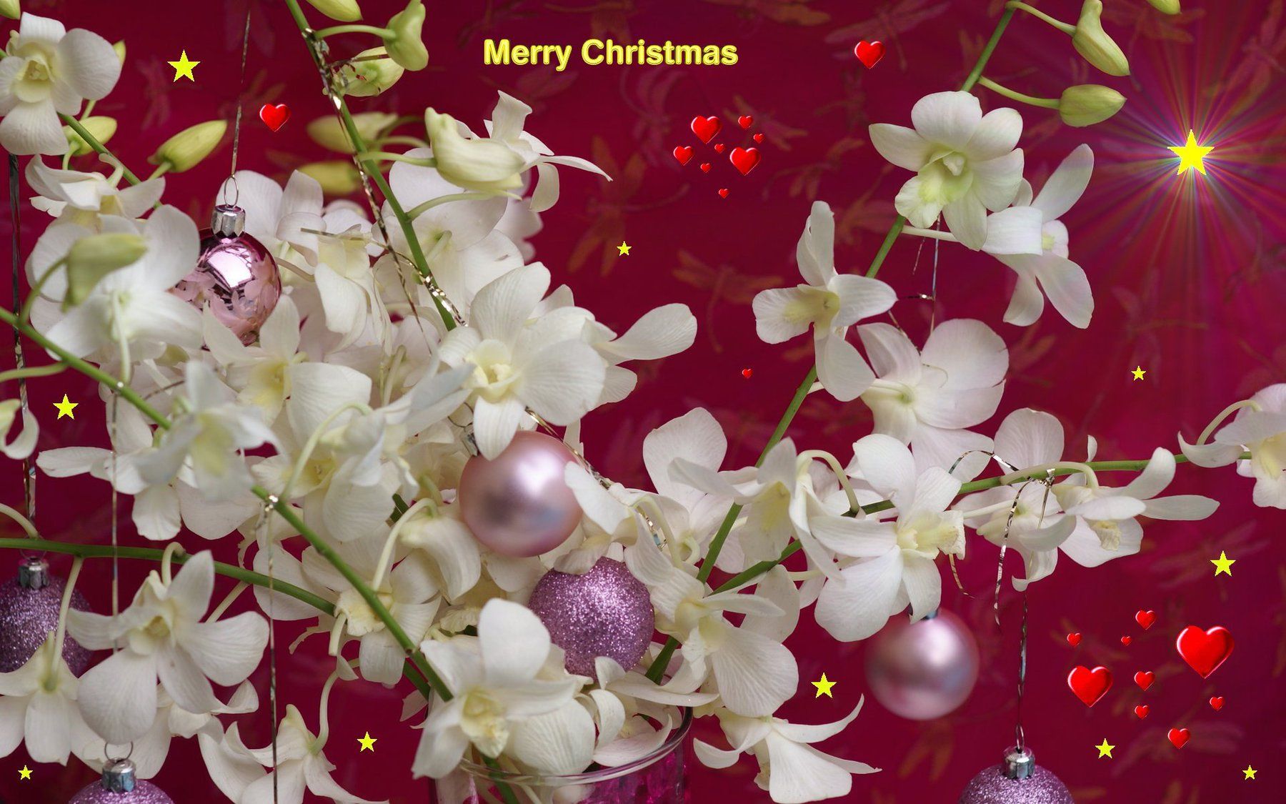 Christmas Flowers Wallpaper