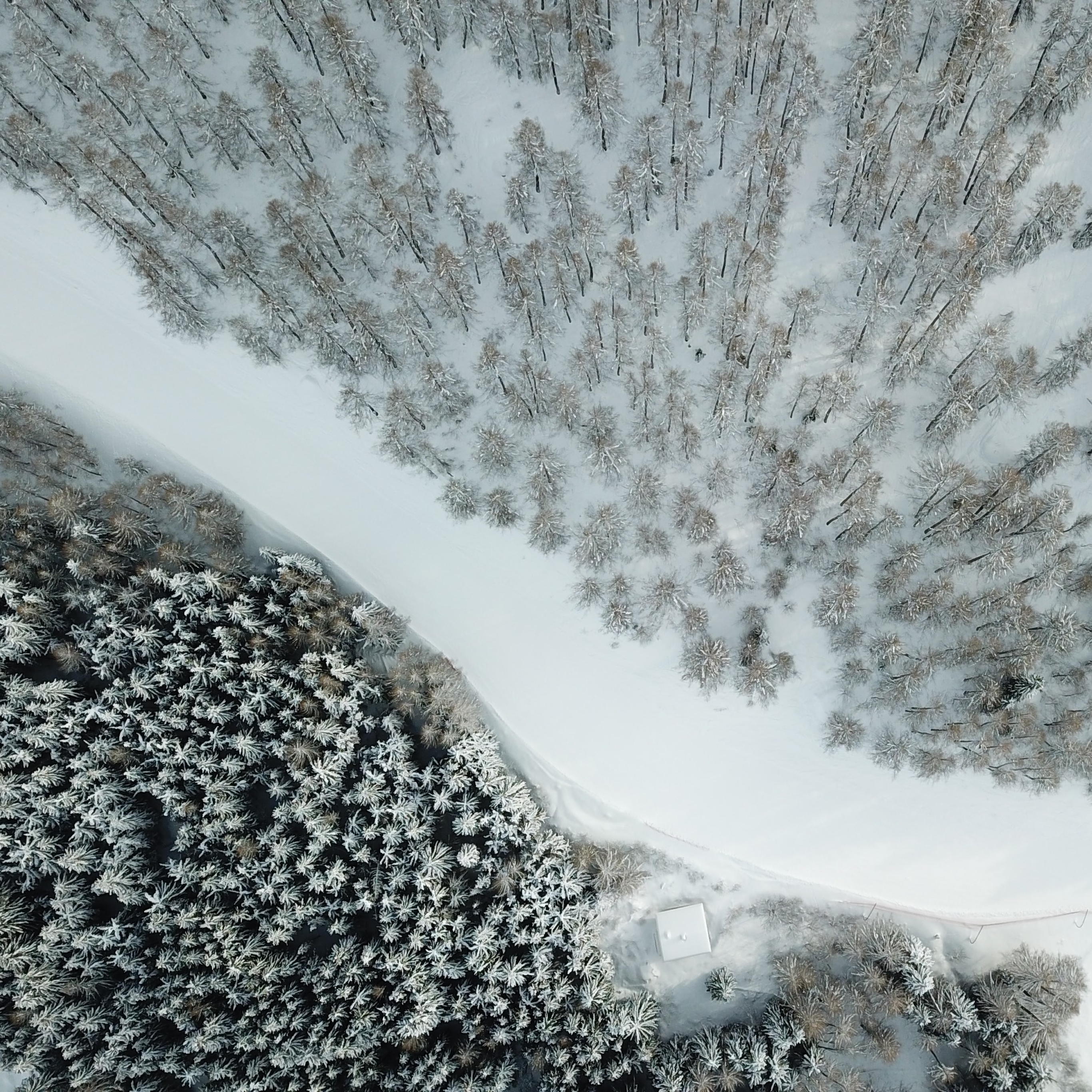 Snow wallpaper for iPhone and iPad