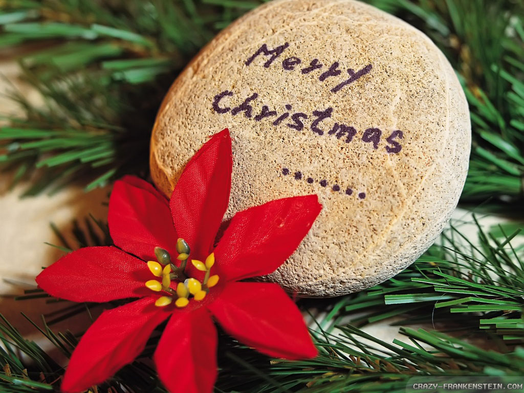 Christmas Flowers wallpaper