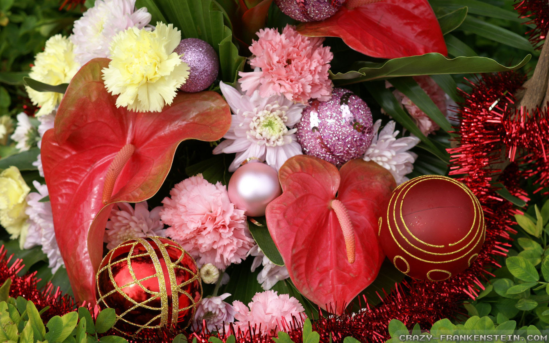 Christmas Flowers wallpaper