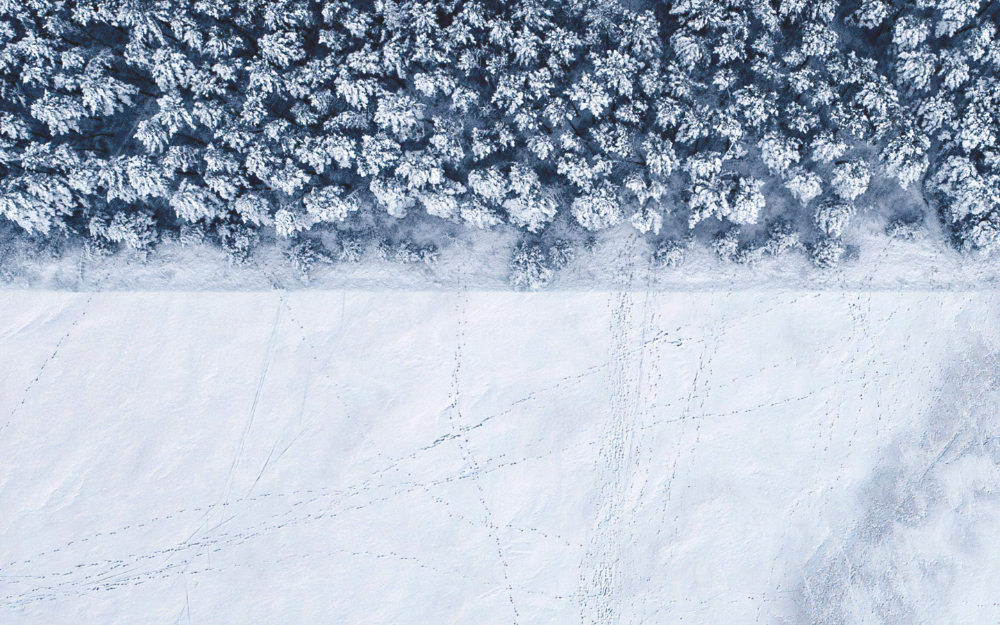 Download wallpaper: Winter landscape seen from a drone 1440x900