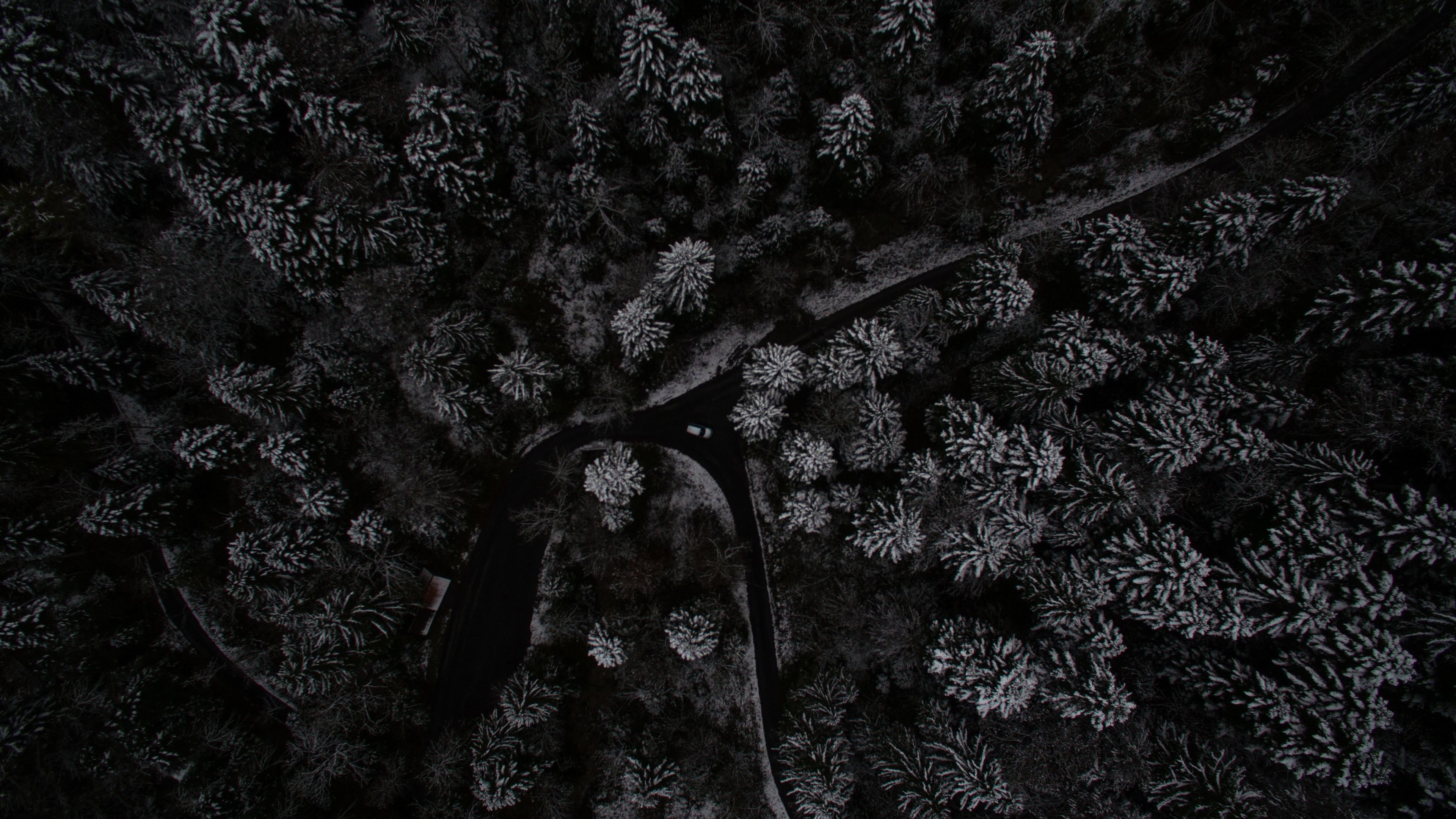 Wallpaper 4k Snow Trees Top View From Drone 4k Wallpaper