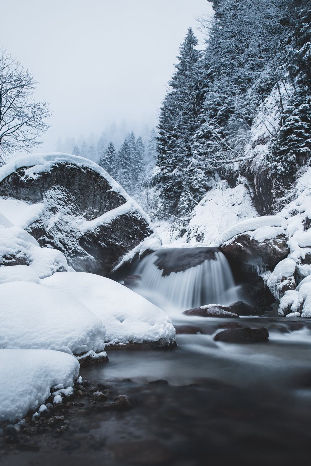 Free Beautiful Winter Wallpaper For iPhone That You'll Love