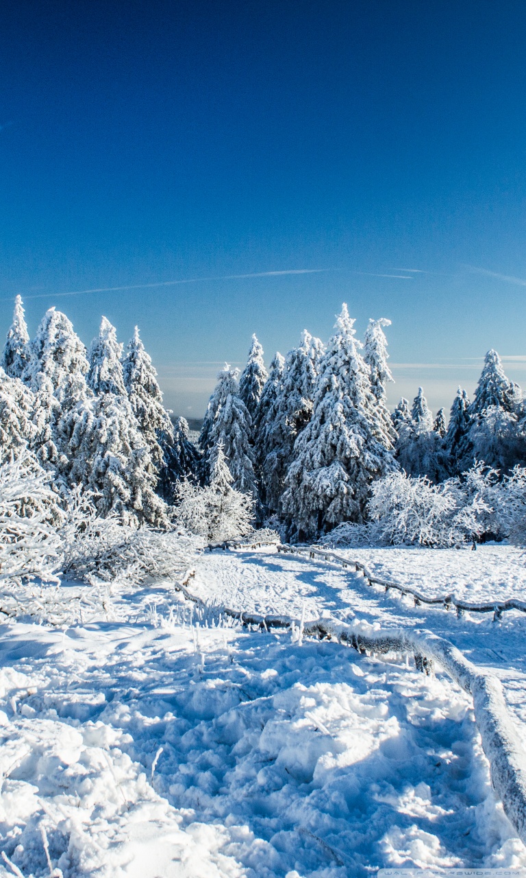 Wonderland Winter Ultra HD Desktop Background Wallpaper for 4K UHD TV, Widescreen & UltraWide Desktop & Laptop, Multi Display, Dual Monitor, Tablet