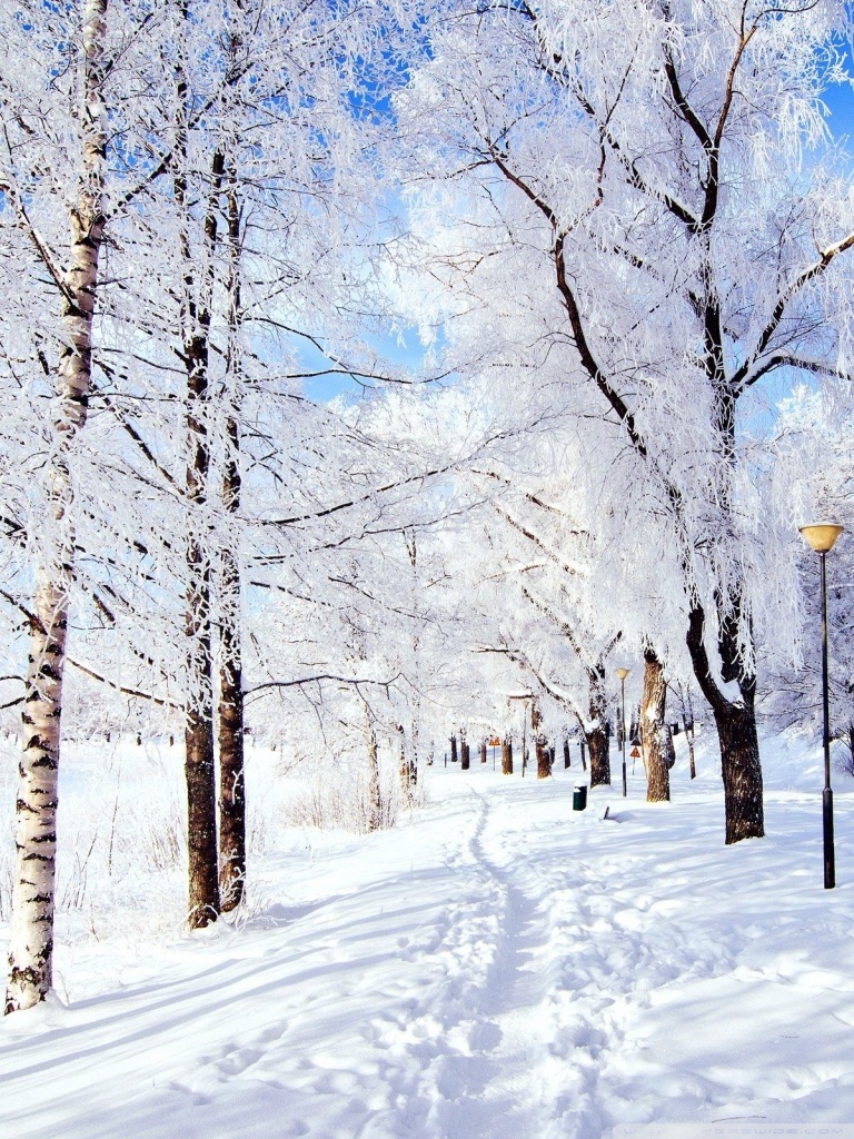 Winter Wonderland Ultra HD Desktop Background Wallpaper for 4K UHD TV, Multi Display, Dual Monitor, Tablet