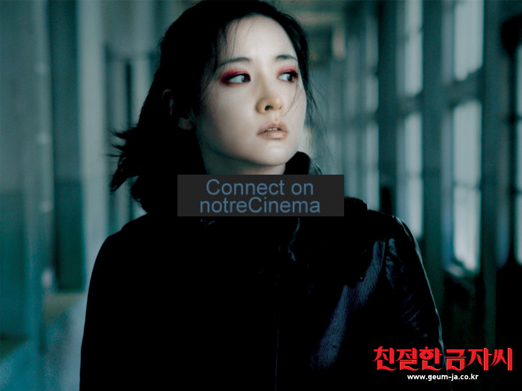 Lady Vengeance Wallpapers Wallpaper Cave