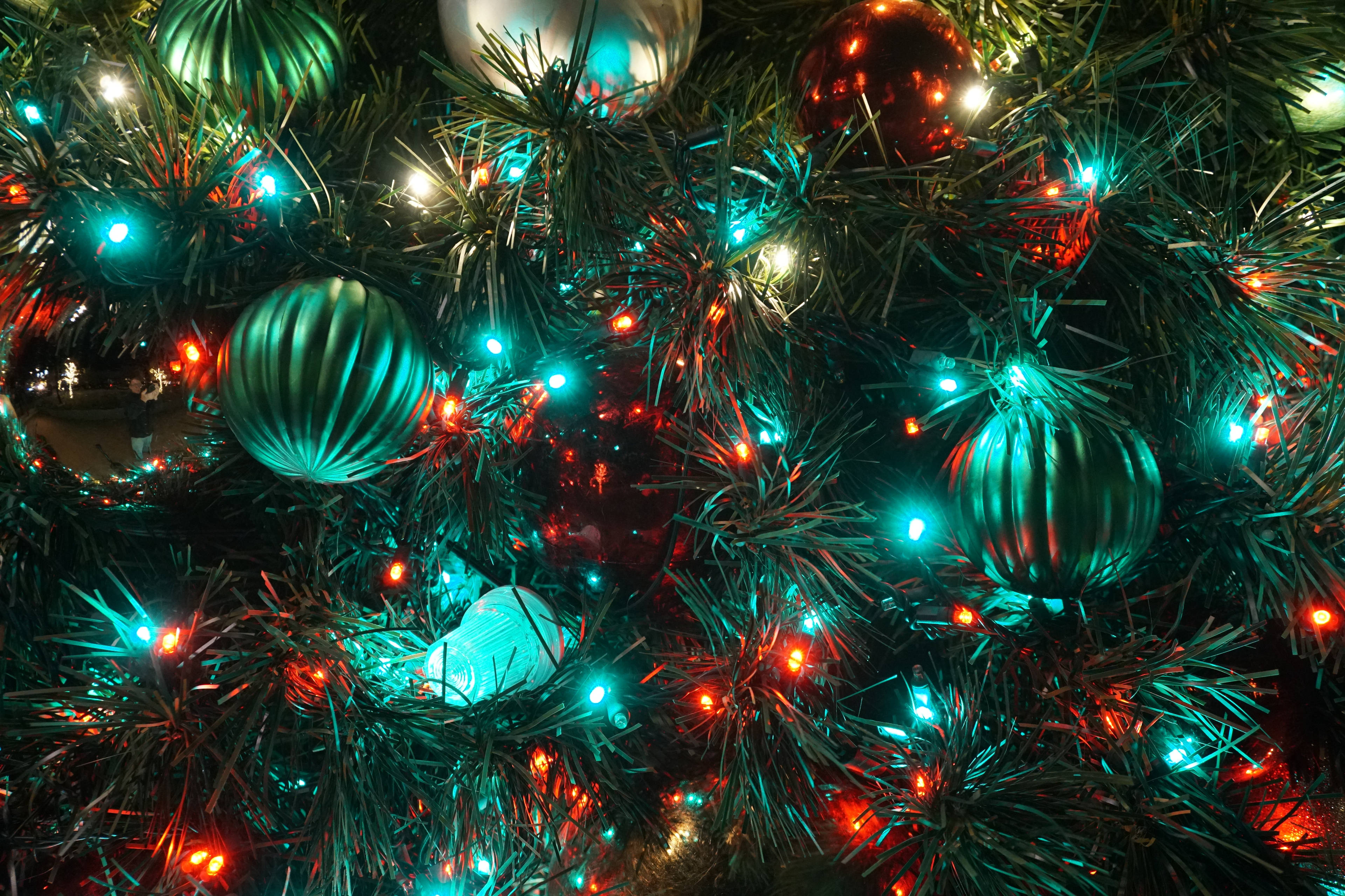 Download Blue Red Christmas Lights Tree Wallpaper