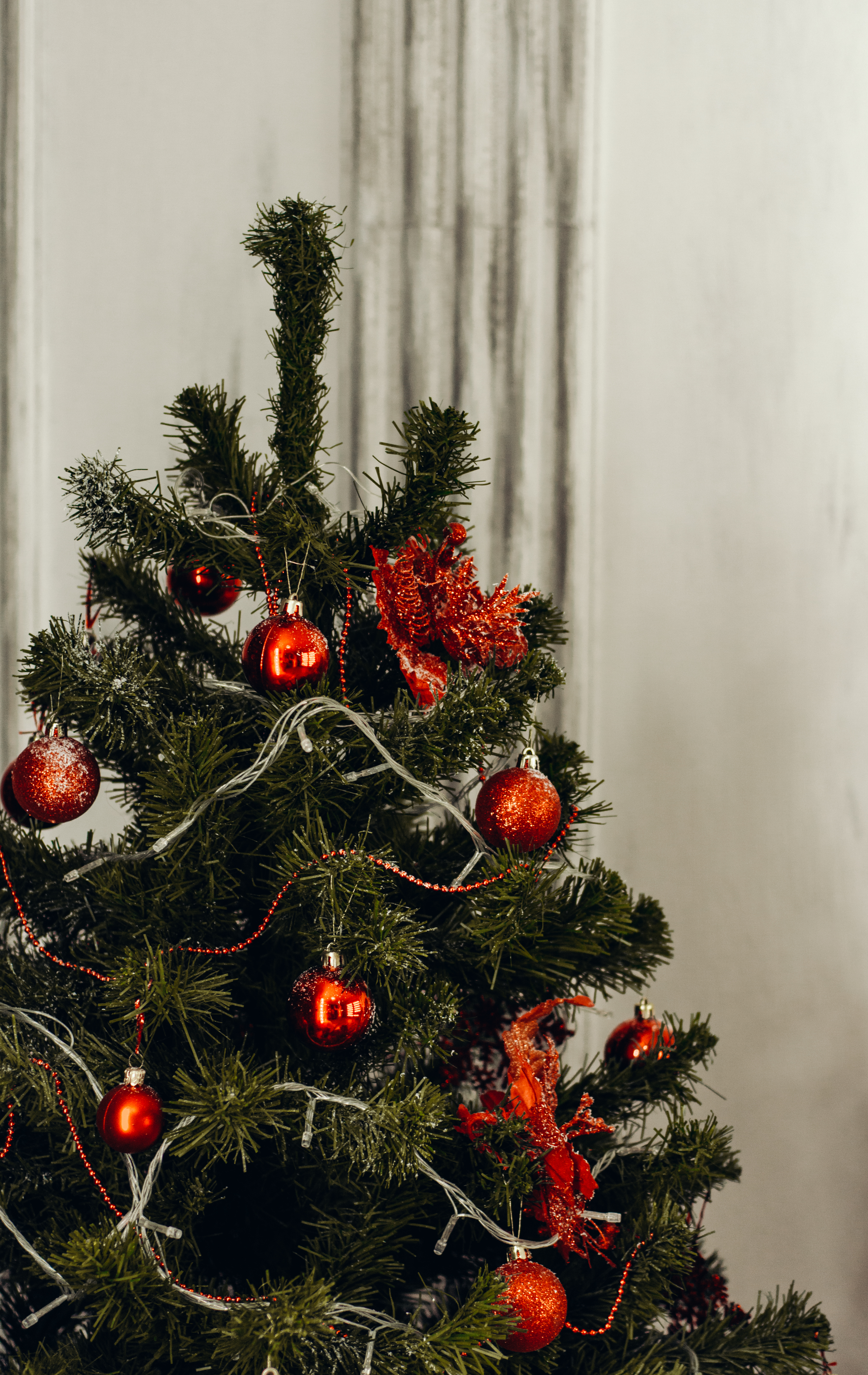 Green and Red Christmas Tree · Free