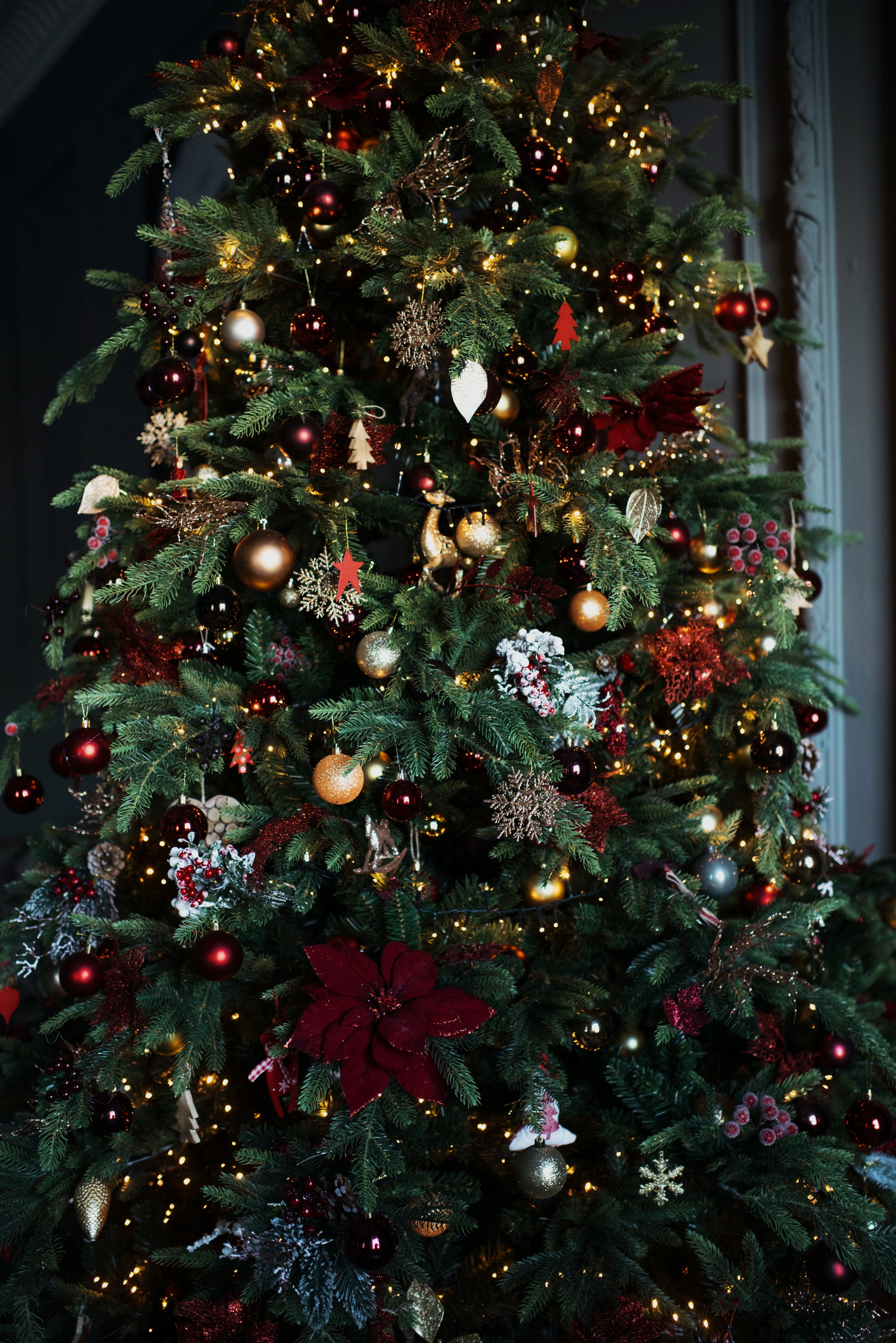 Green Christmas Tree With Red Baubles and String Lights · Free