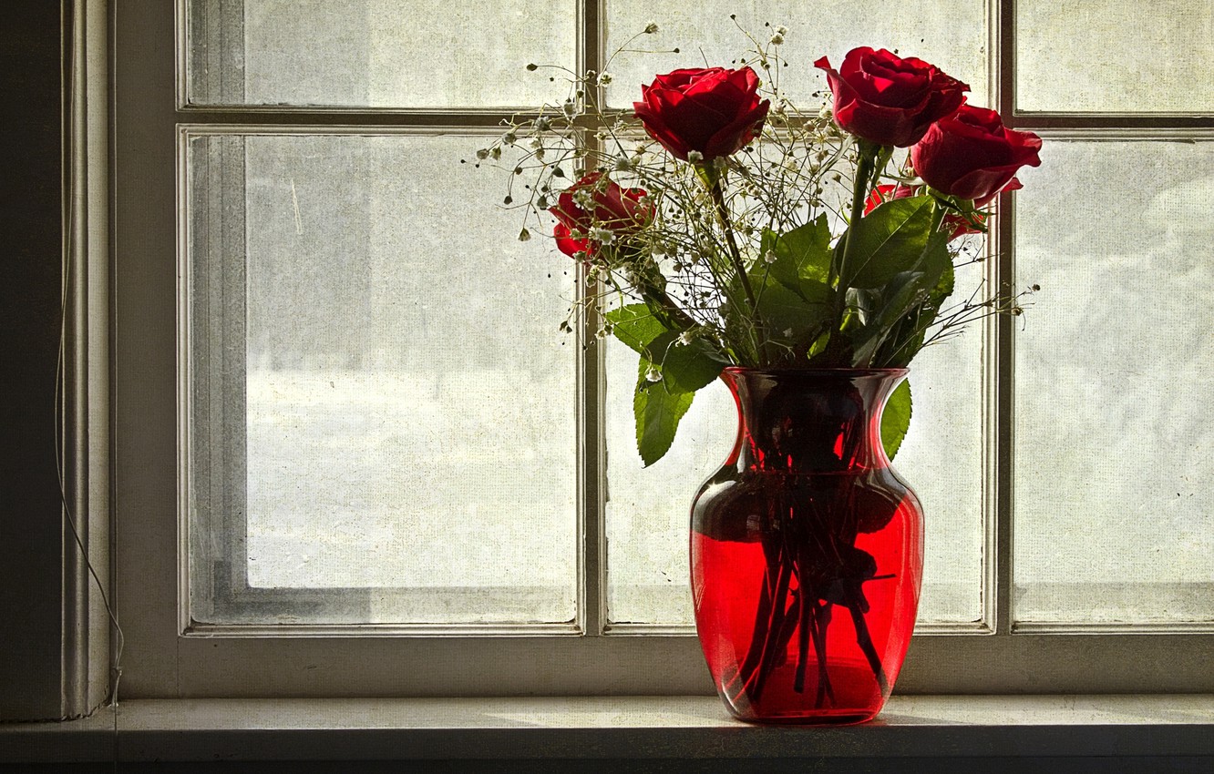 Wallpaper winter, flowers, roses, window, vase image for desktop, section цветы