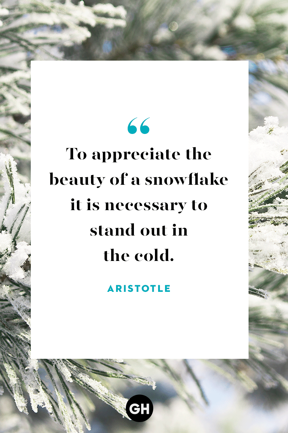 Best Quotes About Snow Winter Quotes & Sayings