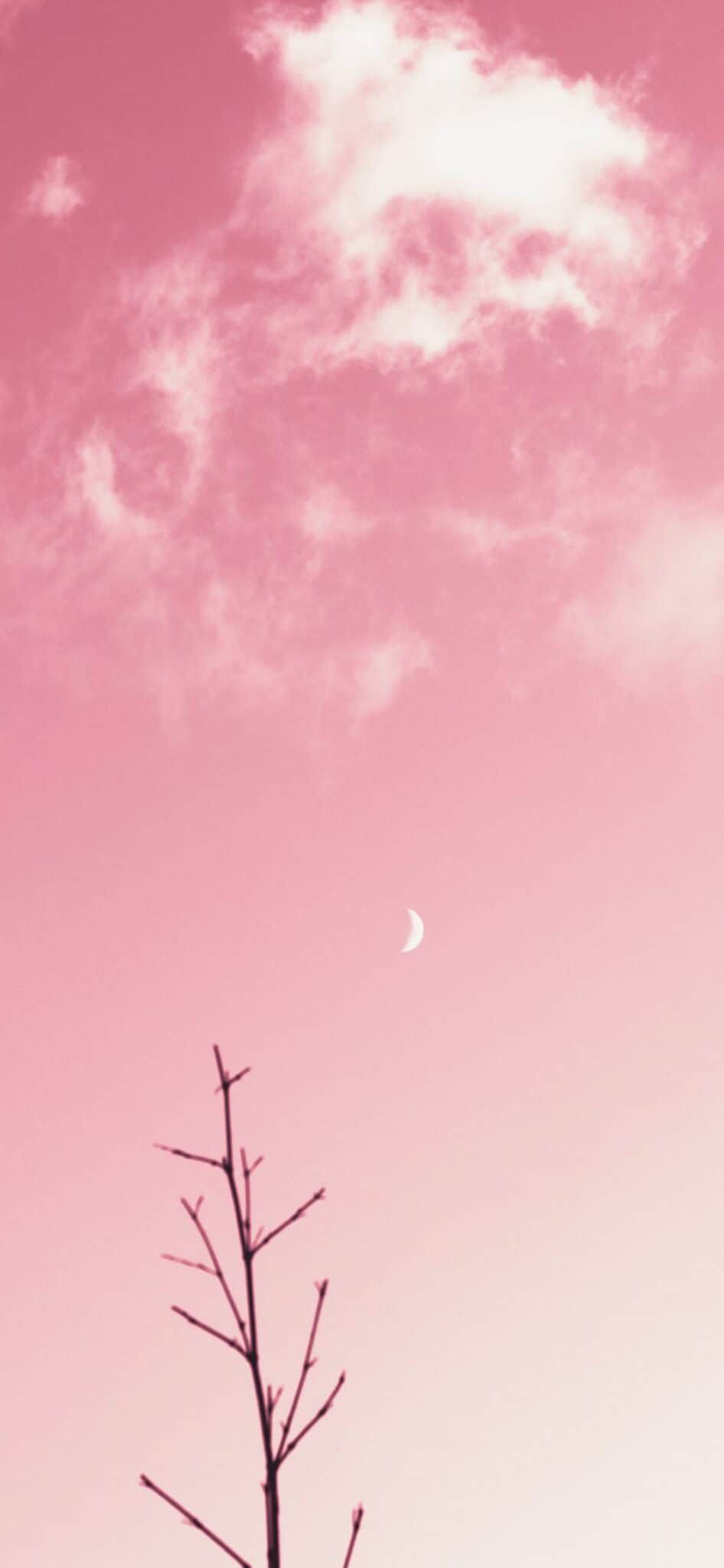 Pink Aesthetic Wallpaper Background You Need For Your Phone Right Now!. Pink clouds wallpaper, Phone wallpaper pink, Pastel pink wallpaper