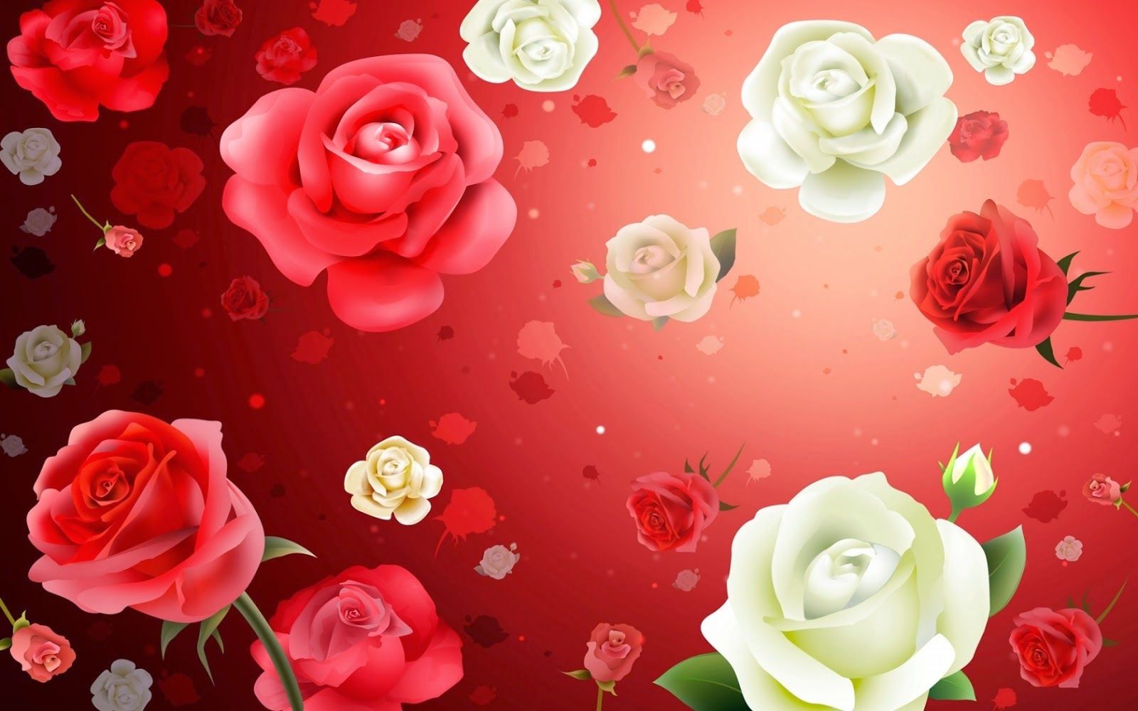 World's Most Beautiful Roses Flowers Wallpaper