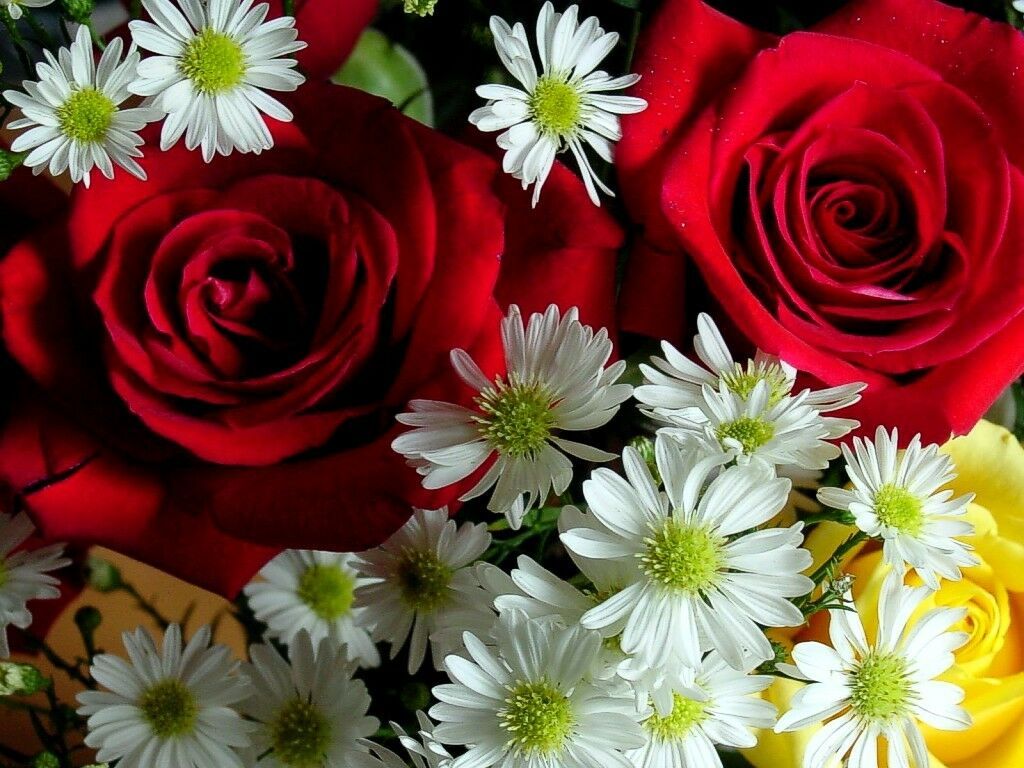 nature flowers. Lovely flowers wallpaper, Flowers, Nature picture flowers