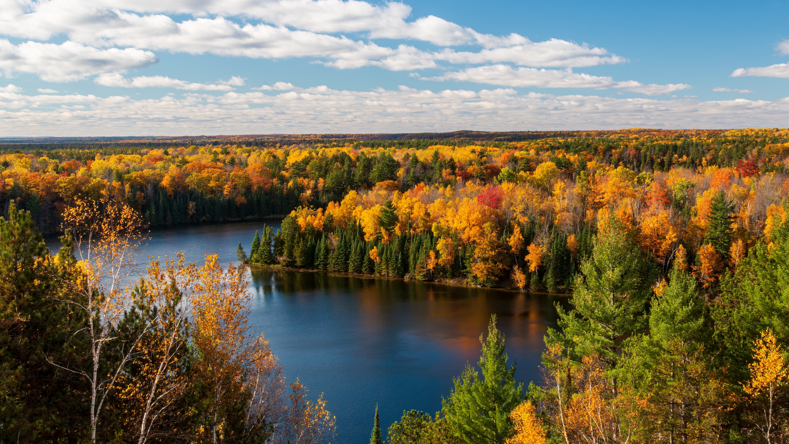 Why don't evergreens change color?