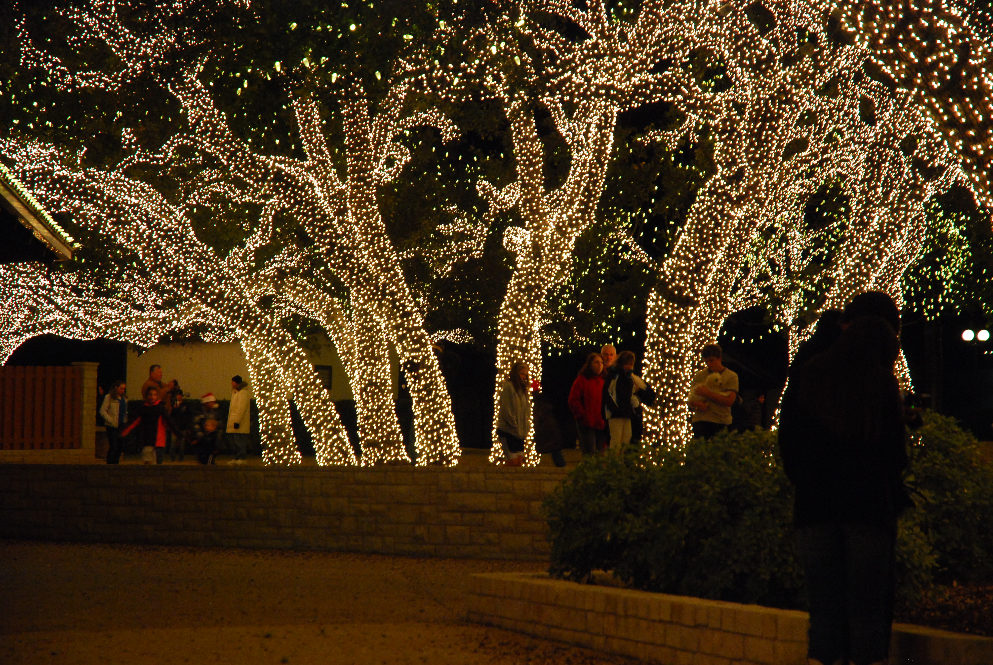 4K Christmas Lights Wallpaper and Background Image