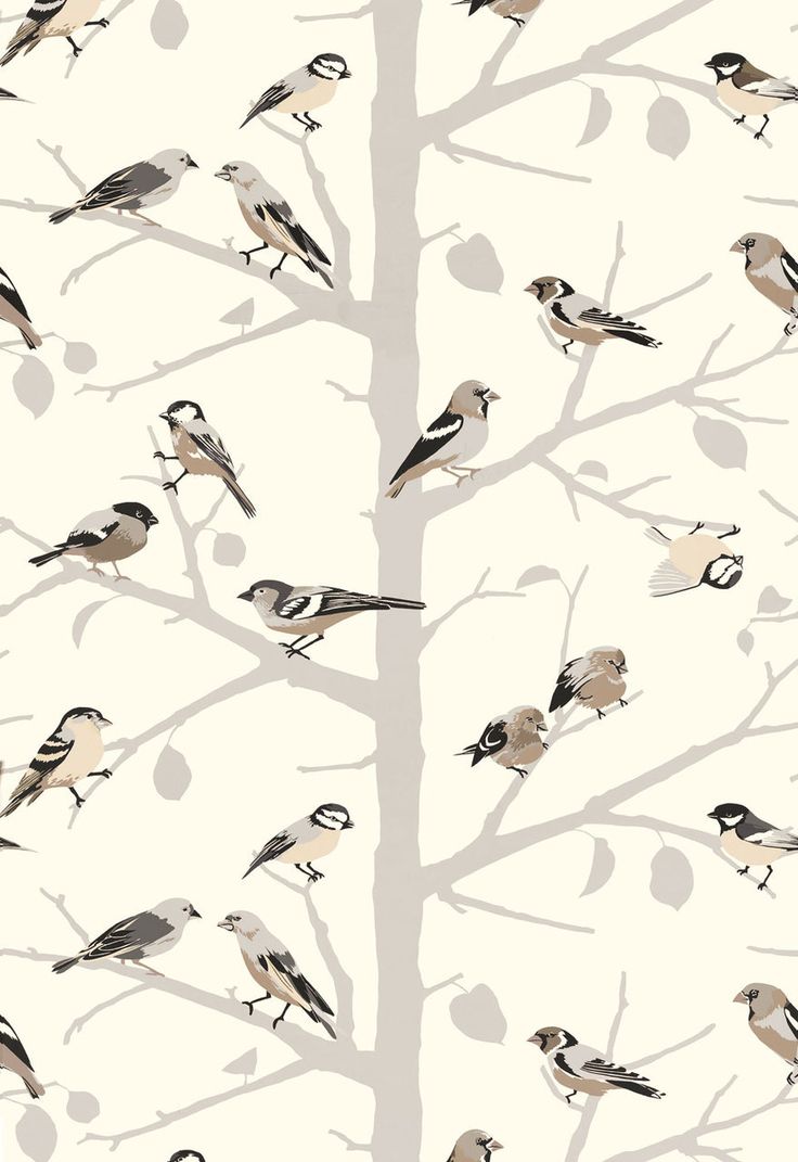 Schumacher A Twitter Wallpaper Winter 5005030 (Priced And Sold As 9 Yard Double Roll). Winter Wallpaper, Schumacher Wallpaper, Bird Wallpaper