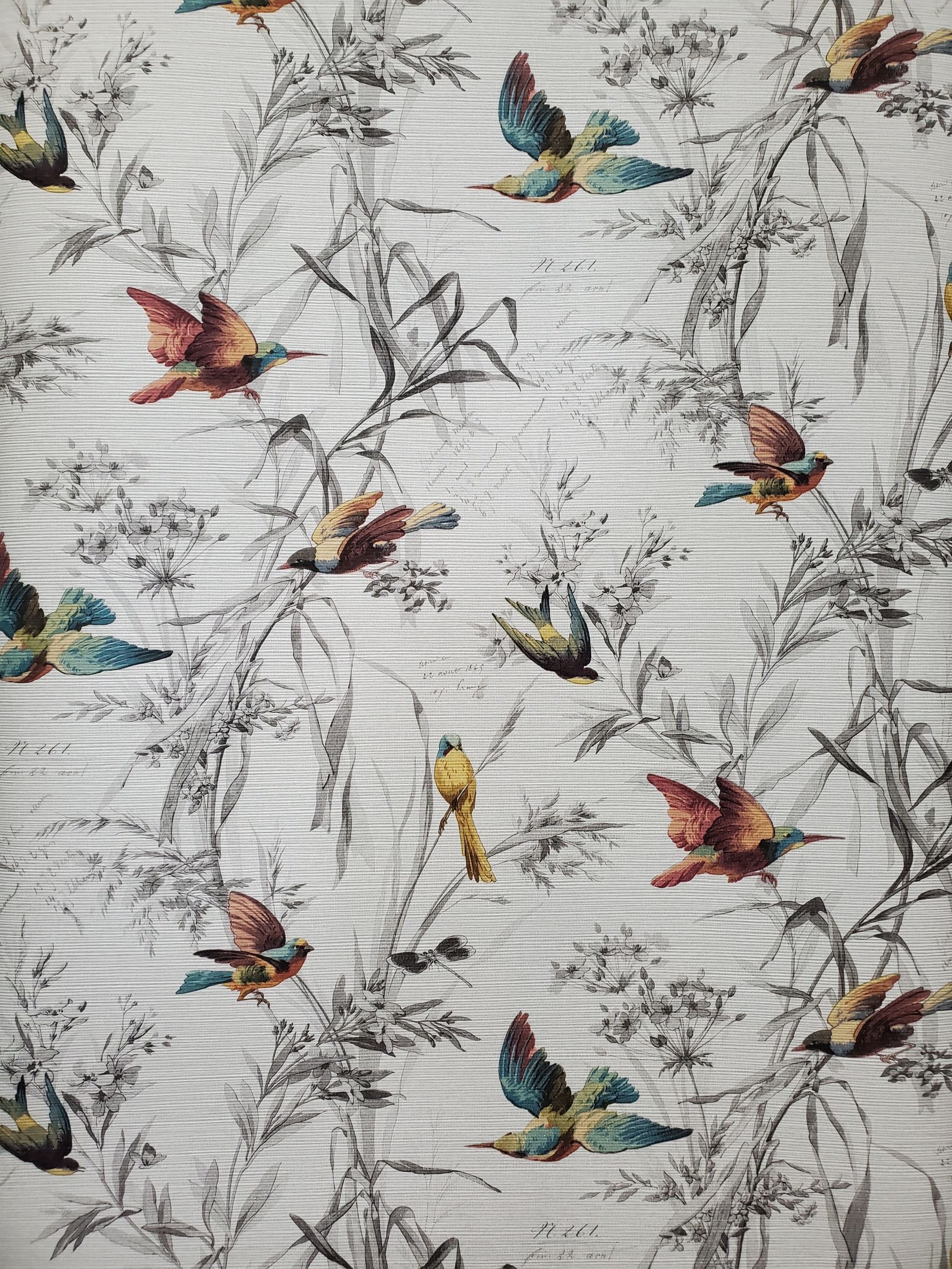 Birds Of Paradise Sterling Wallpaper