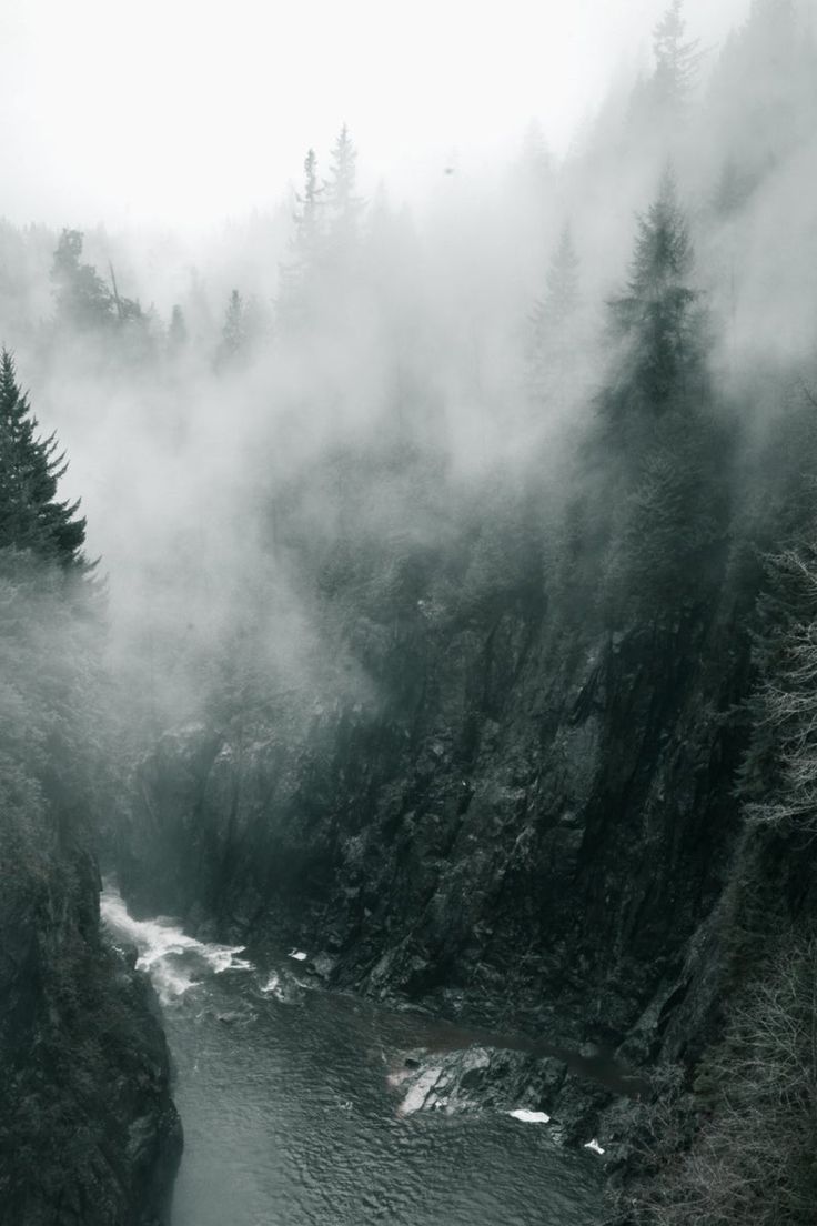 Foggy Forest Print Misty Poster Art Nature Set of 3 Wall. Туманный лес, Пейзажи, Живописные пейзажи
