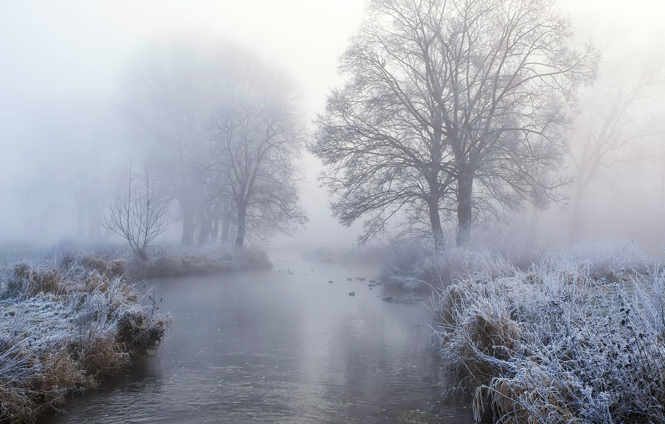Wallpaper winter, fog, river image for desktop, section природа