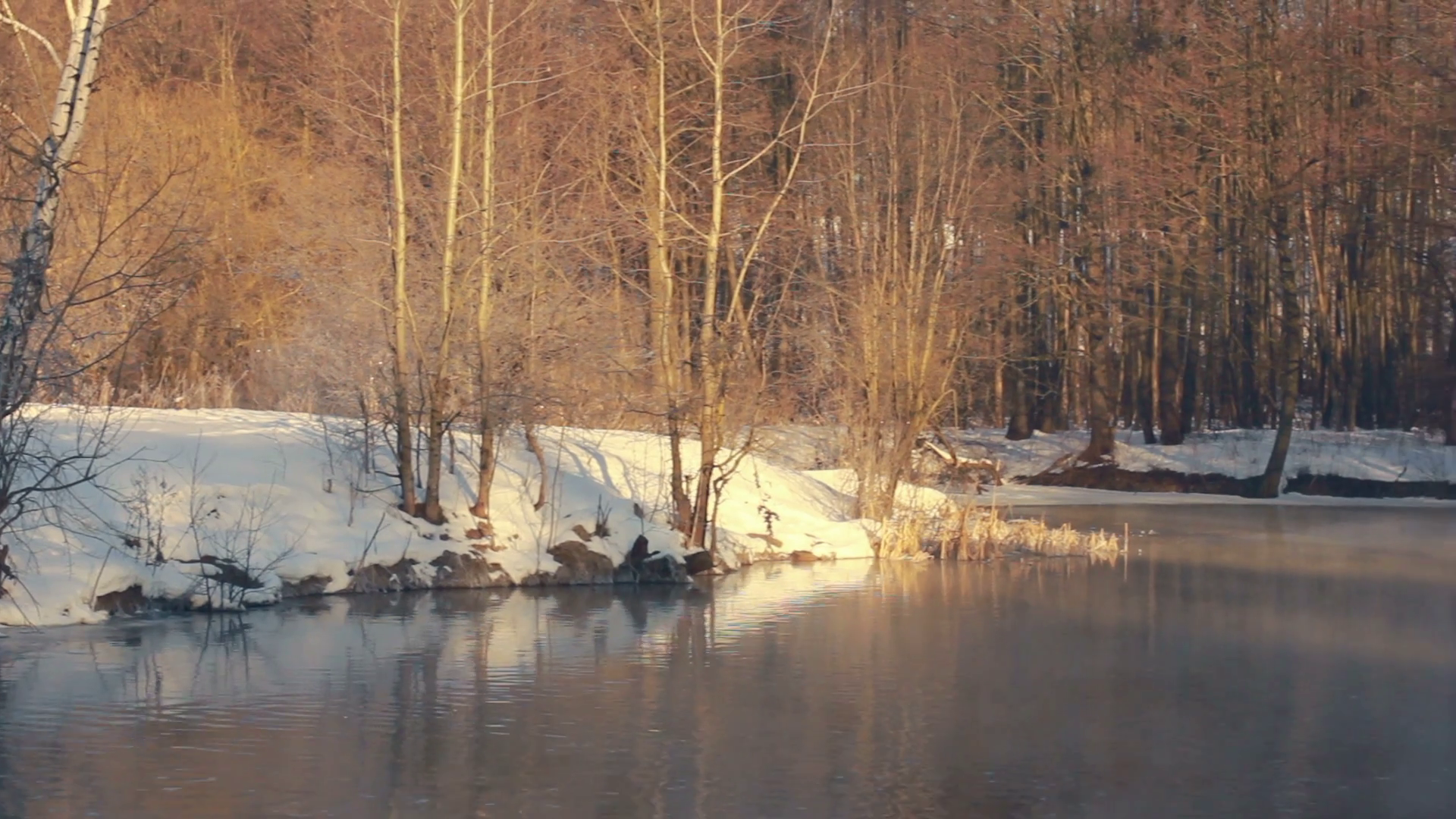 River in winter forest. Winter river. Misty river in winter forest. Forest trees. Winter forest without leaves. Land covered by snow. Fog over cold river. River bank covered with snow. Foggy river