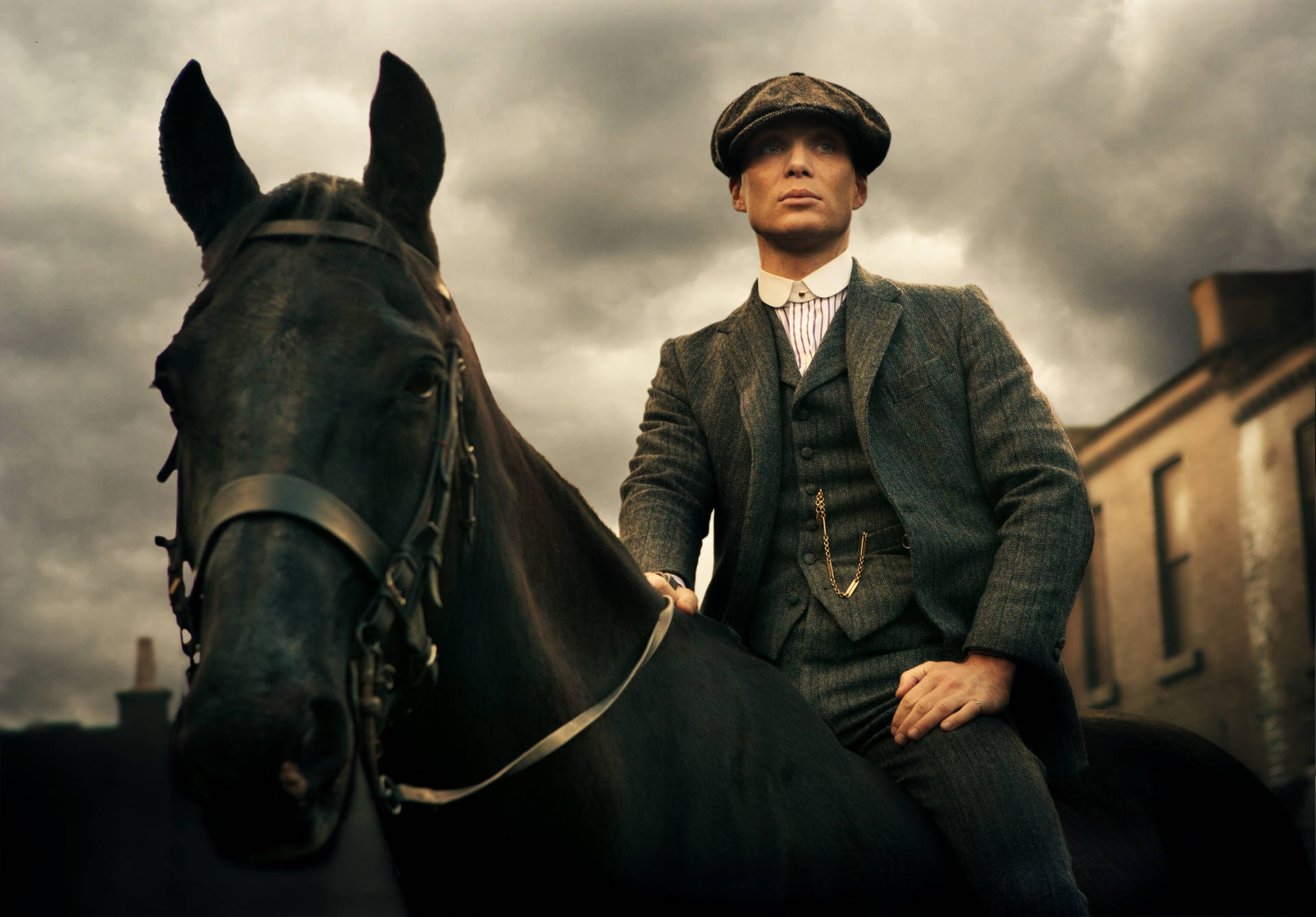 Download Tommy Shelby 4k Horse Wallpaper