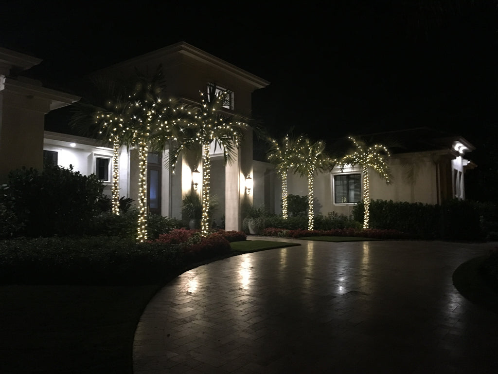 LED Palm Tree Lighting Kit, Up to 10' Palm, 200 Lights with Twinkle Ti