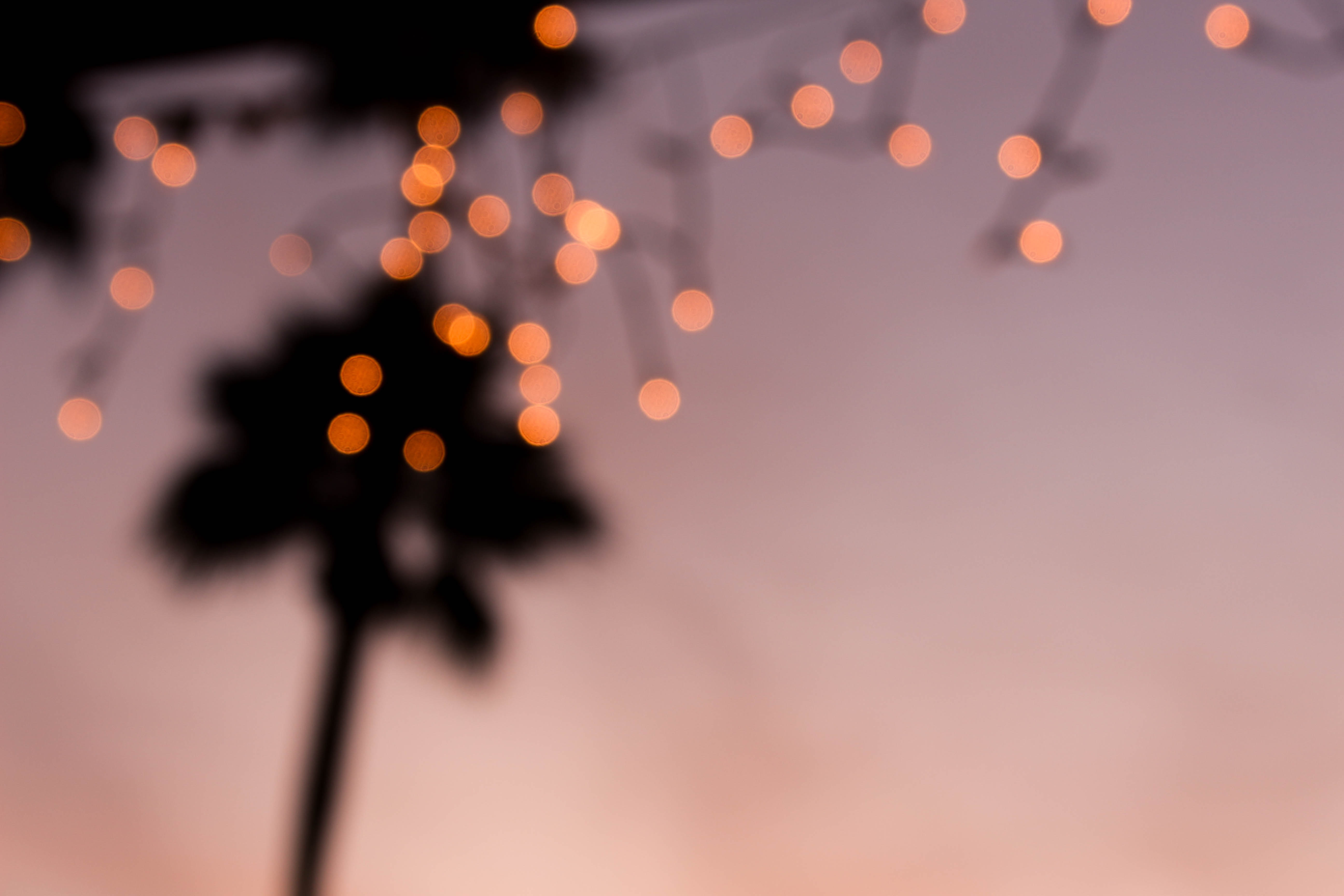 5184x3456 tree, christmas light, lights, palm tree, christmas, orange, bokeh, Free , sunrise, blurred, blur, fairy lights, sunset, light Gallery HD Wallpaper