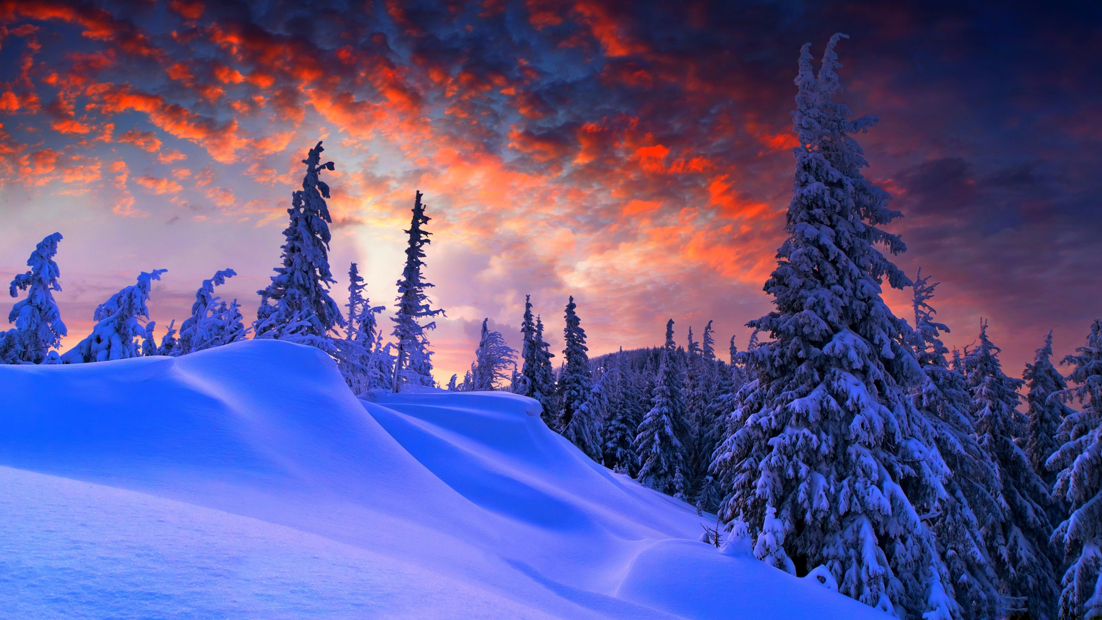 4K Winter Wallpaper High Quality