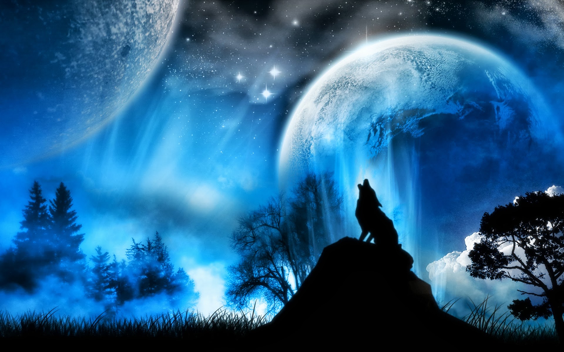 Winter wolf wallpaper. iOS wallpaper and Android wallpaper