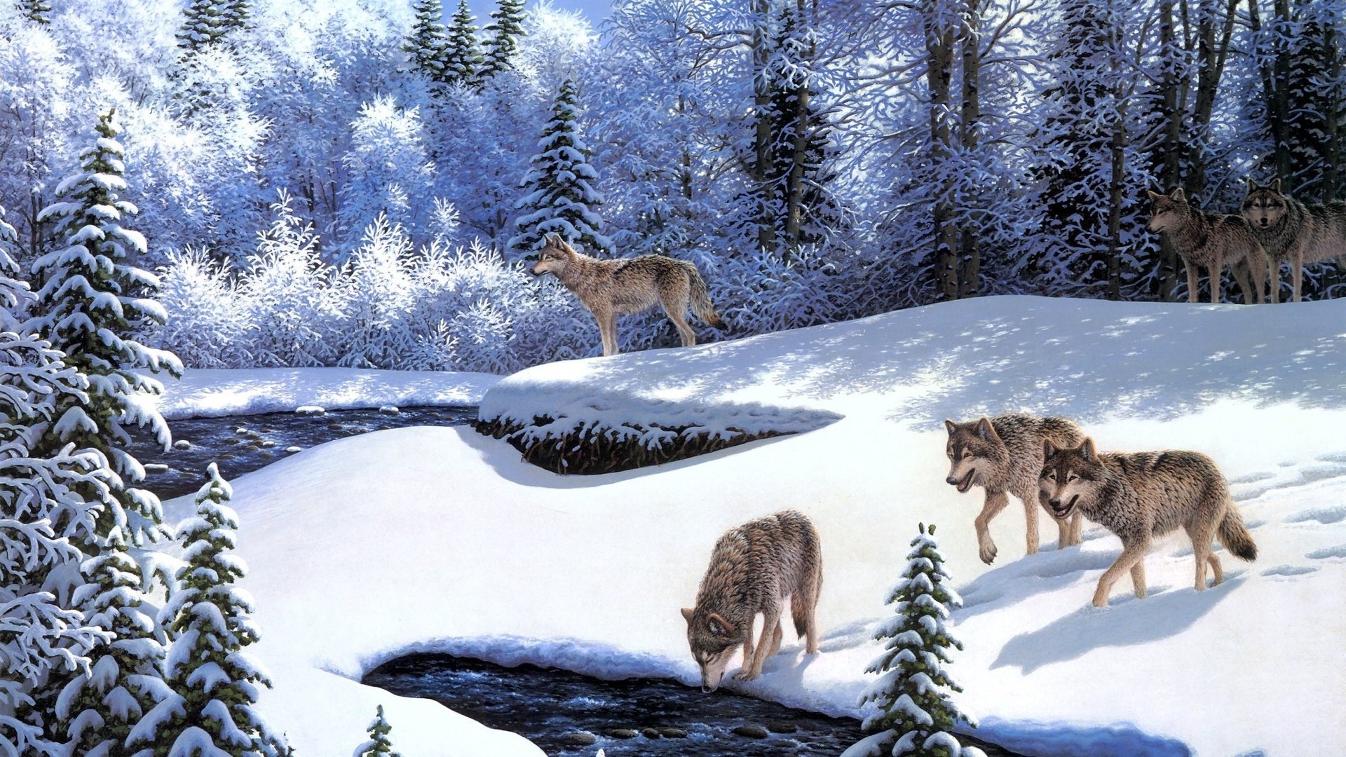 wolf, Winter Wallpaper HD / Desktop and Mobile Background