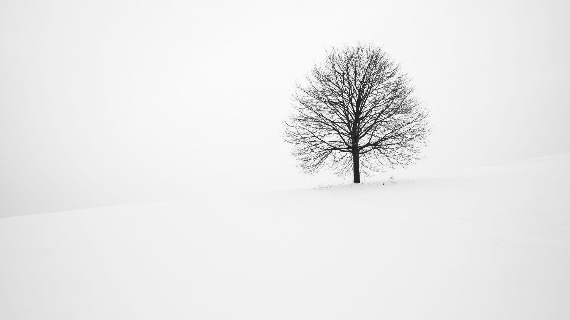 Minimalist Winter Wallpaper Definition, High Resolution HD Wallpaper, High Definition, High Resolution HD Wallpaper
